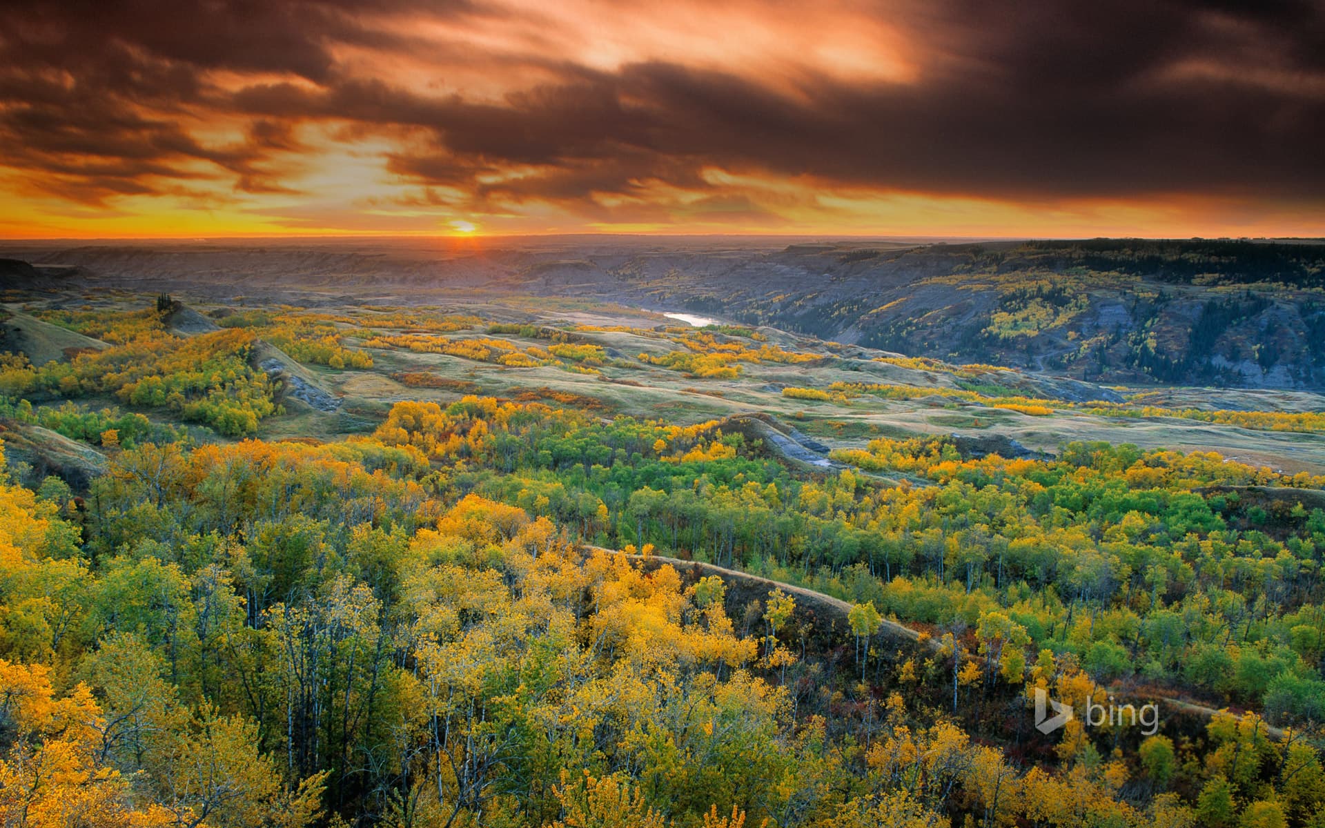 Bing Wallpaper: Dry Island Buffalo Jump Provincial Park, Alberta, Canada