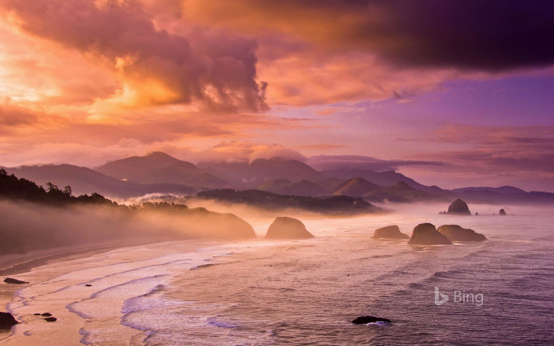 Bing Wallpaper: Lewis and Clark National and State Historical Parks in Oregon