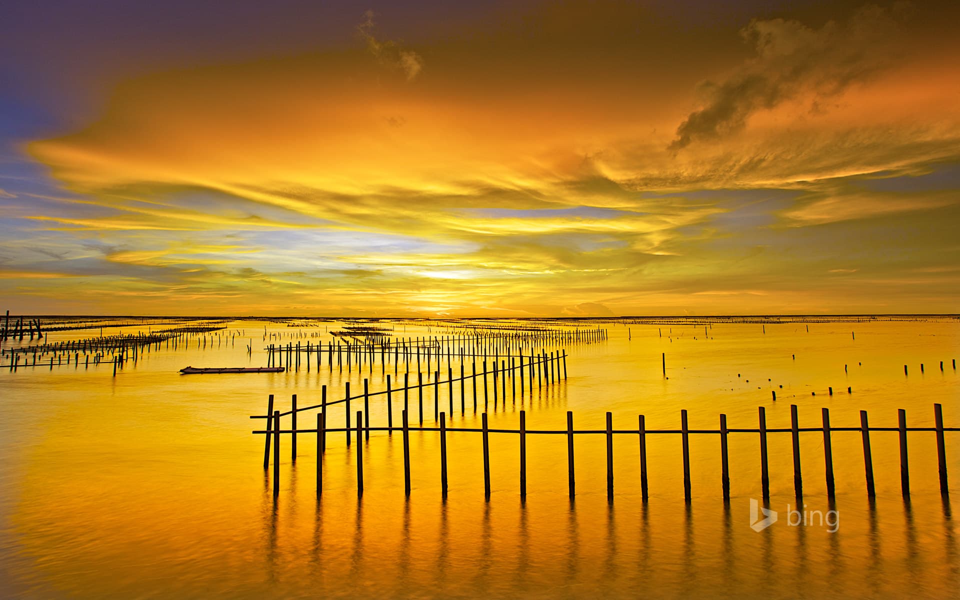 Bing Wallpaper: Cigu Lagoon at Tainan, Taiwan