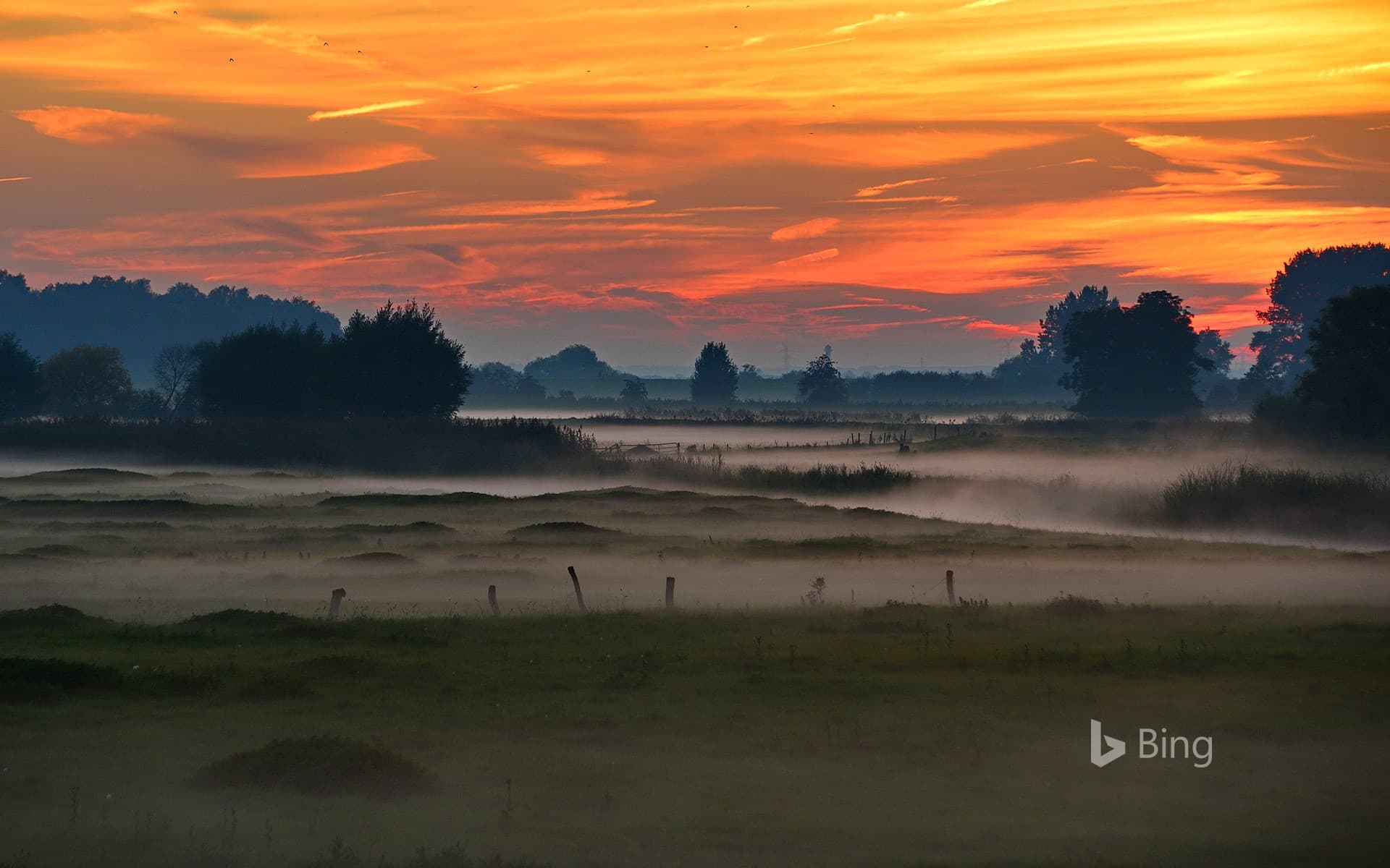 Bing Wallpaper: Wetland of River Elbe near Wedel, Schleswig-Holstein, Germany