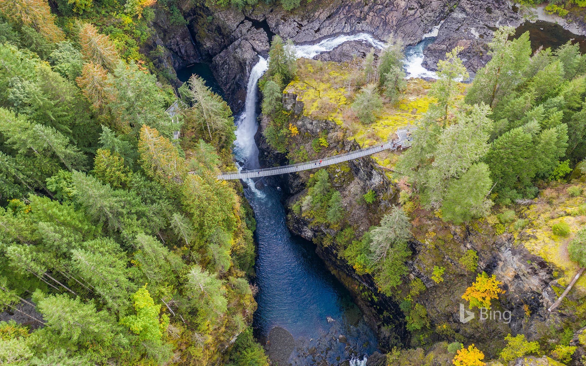 Bing Wallpaper: Aerial view of Elk Falls suspension bridge on Vancouver Island, Canada