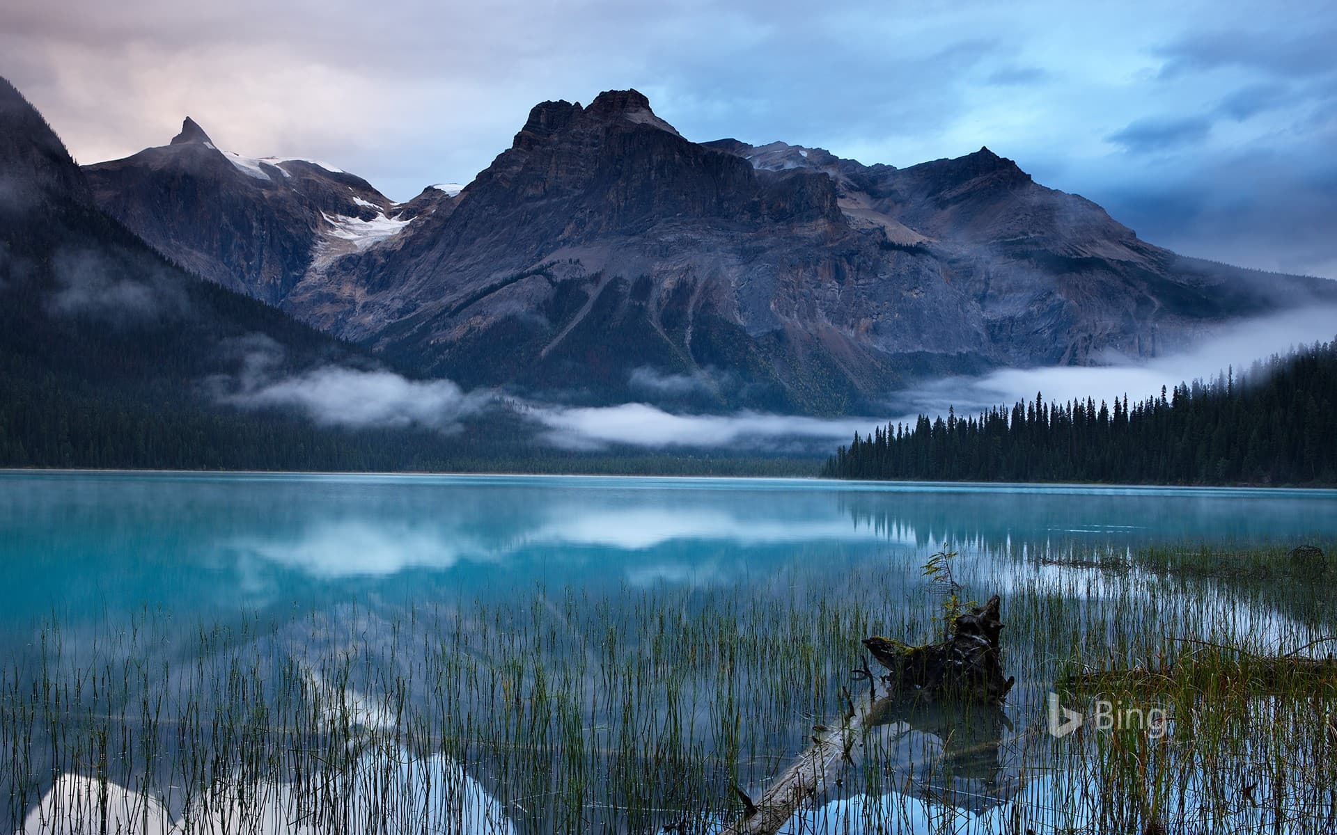 Bing Wallpaper: Emerald Lake with the peaks of the President Range in Yoho National Park, B.C., Canada