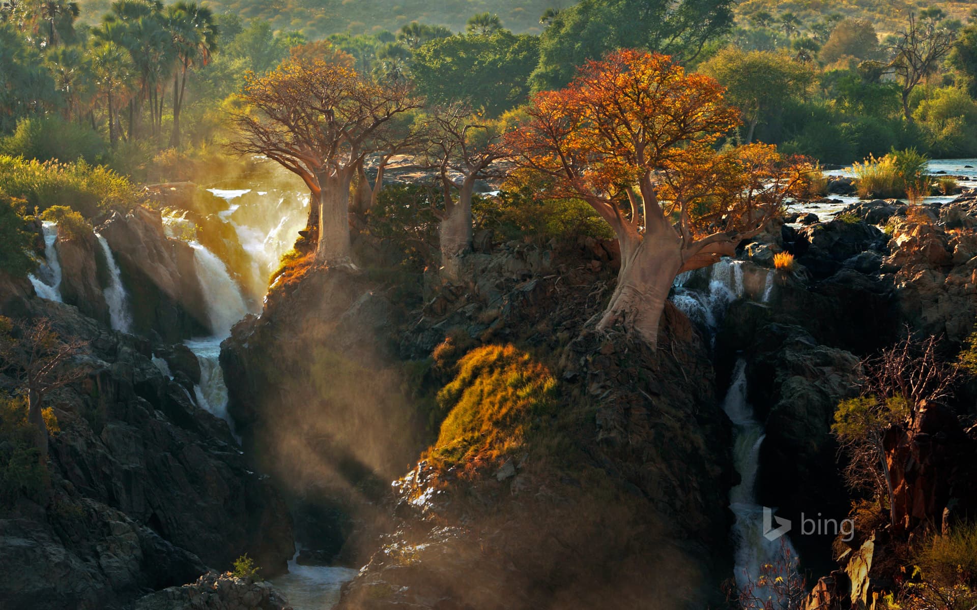 Bing Wallpaper: Epupa Falls between Angola and Namibia