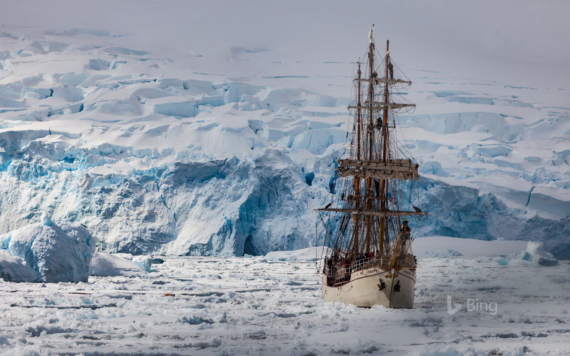 Bing Wallpaper: The Europa sails the Penola Strait, Antarctic Peninsula, Antarctica