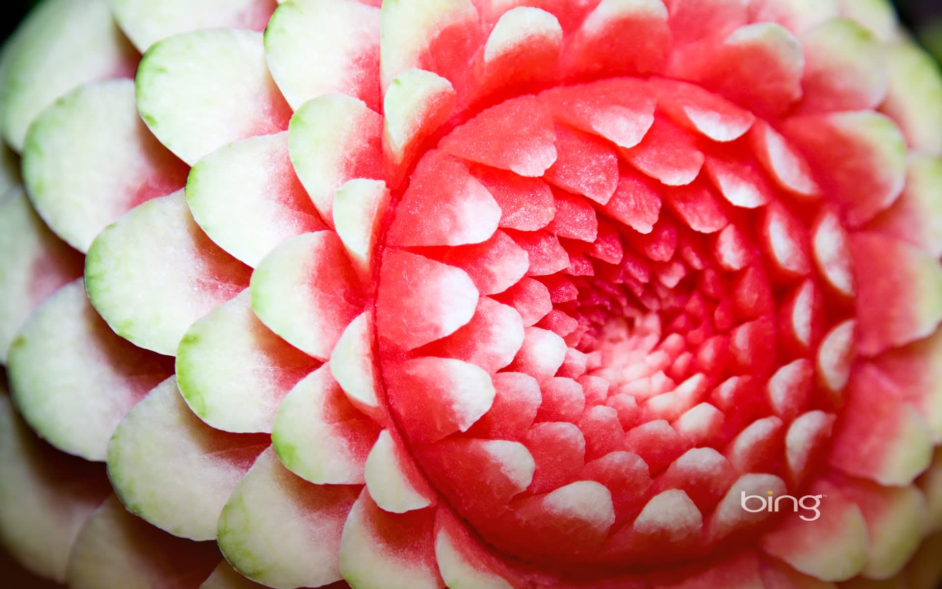 Bing Wallpaper: Decorative watermelon