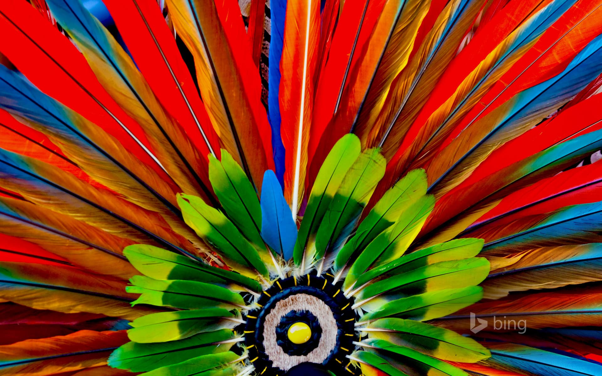 Bing Wallpaper: Aztec headdress detail