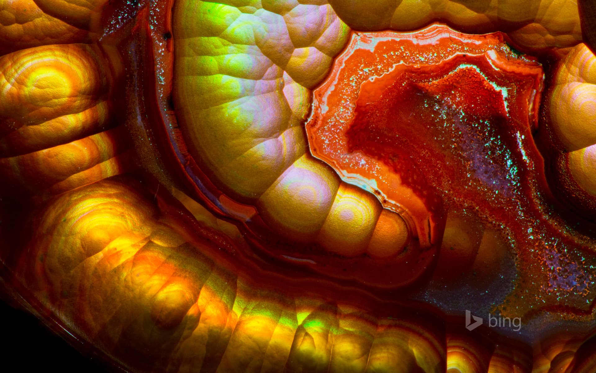 Bing Wallpaper: Close-up view of a fire agate gemstone