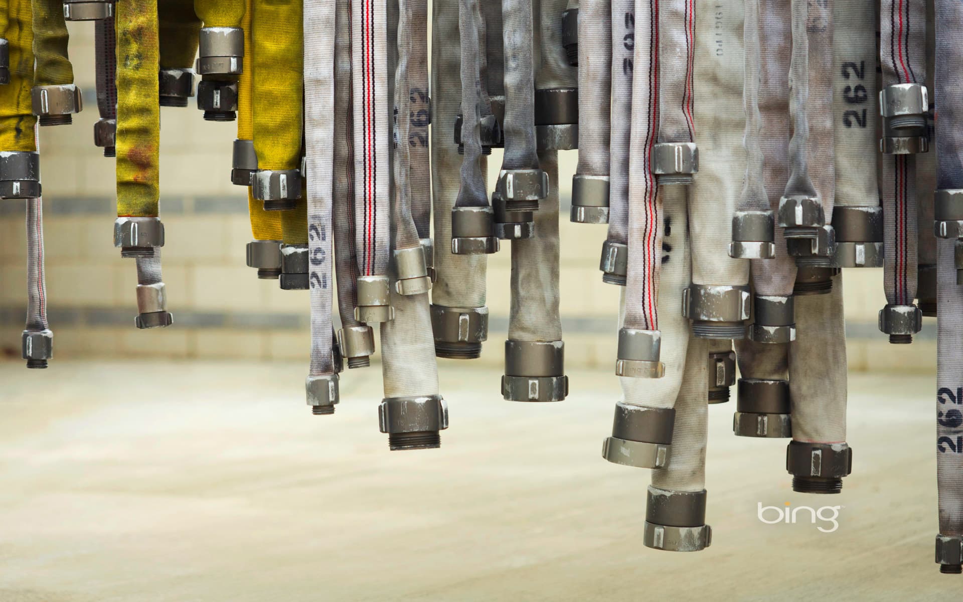 Bing Wallpaper: Fire hoses hanging to dry