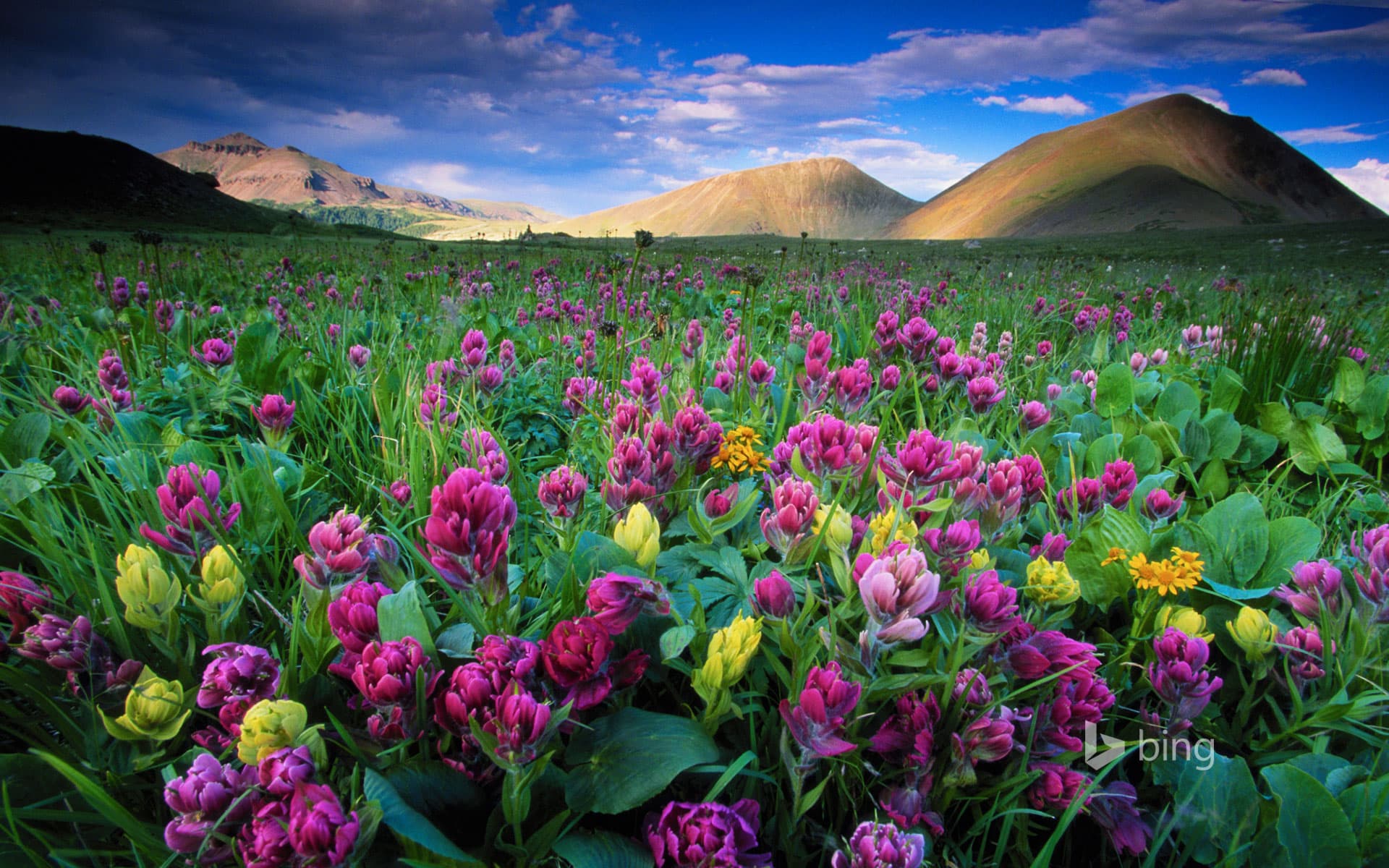 Bing Wallpaper: American Lakes area of State Forest State Park in Colorado