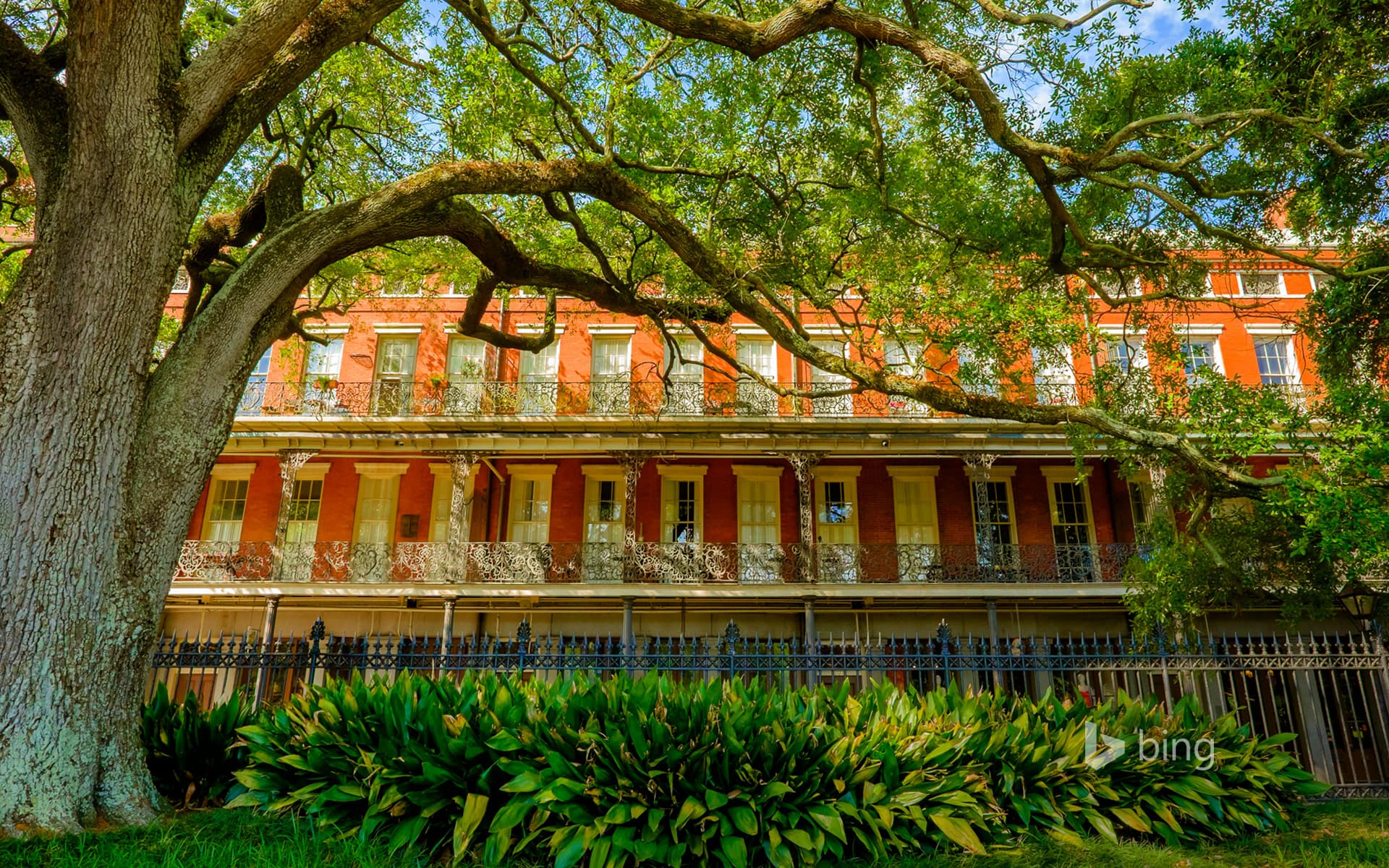 Bing Wallpaper: View from Jackson Square, New Orleans, Louisiana