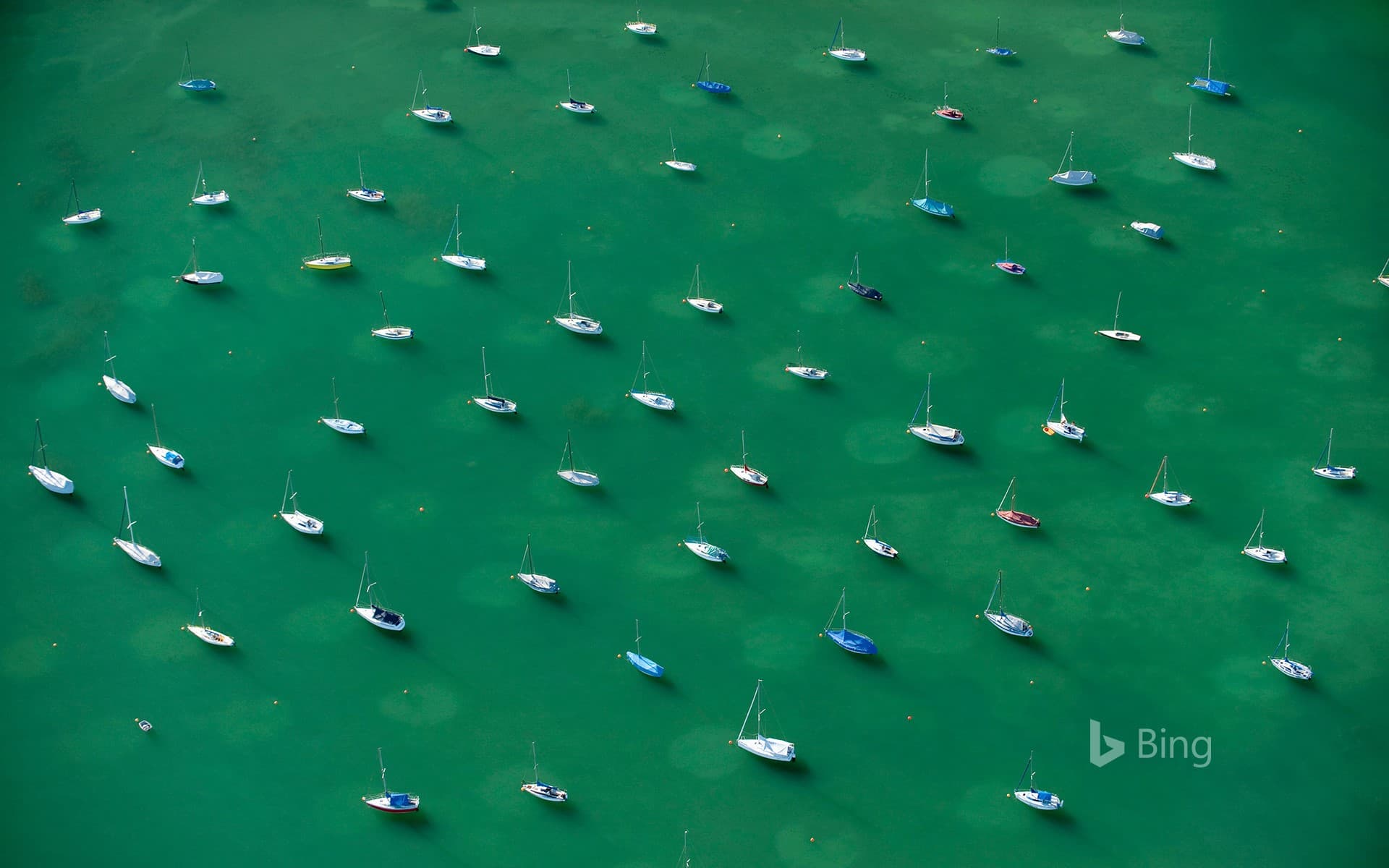 Bing Wallpaper: Anchored sailboats, Lake Constance, Friedrichshafen, Baden Wurttemberg, Germany