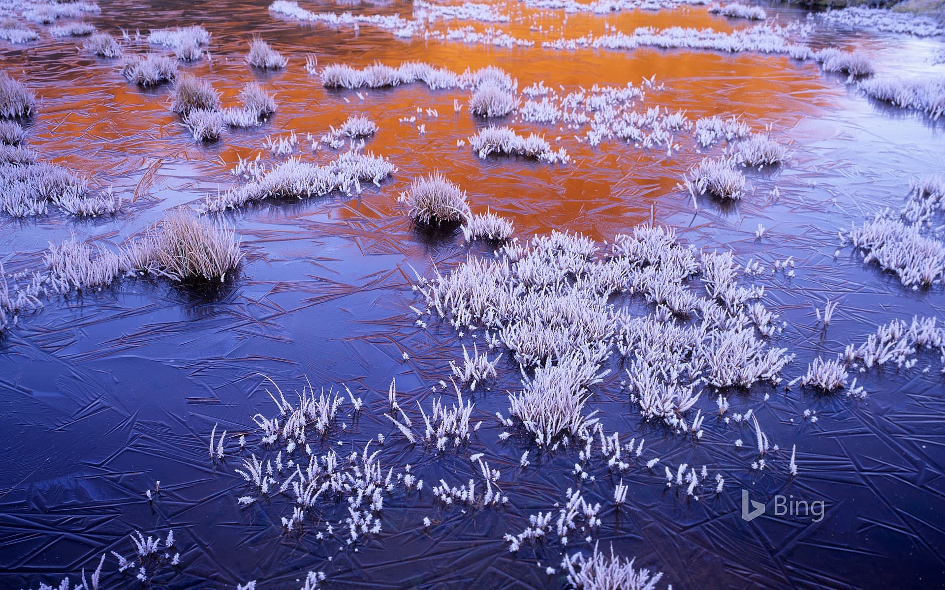 Bing Wallpaper: A frozen tarn at sunrise in the Walls of Jerusalem National Park, Tasmania, Australia