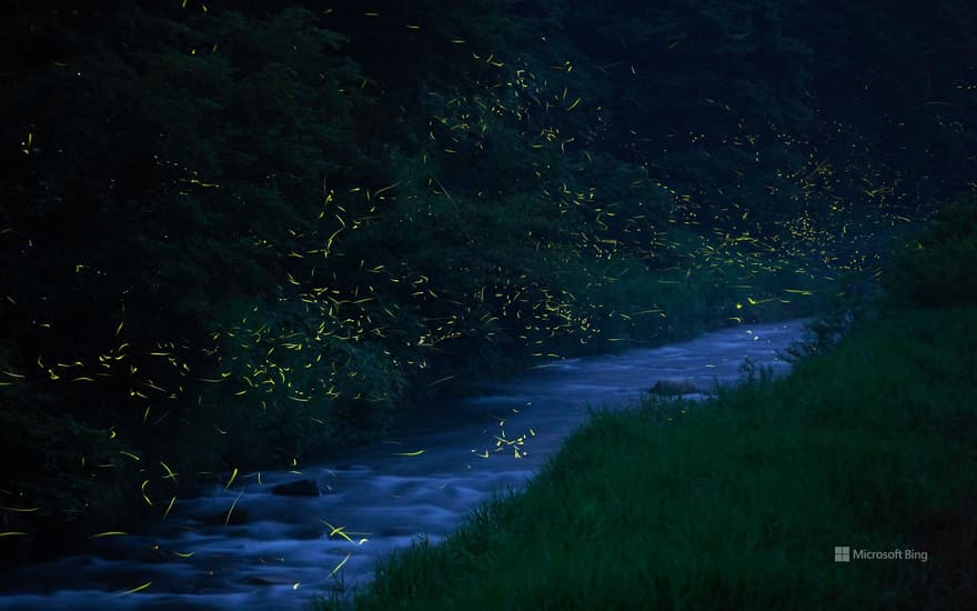 "Fukumanki Firefly Nokuni" Nichinan Town, Tottori Prefecture