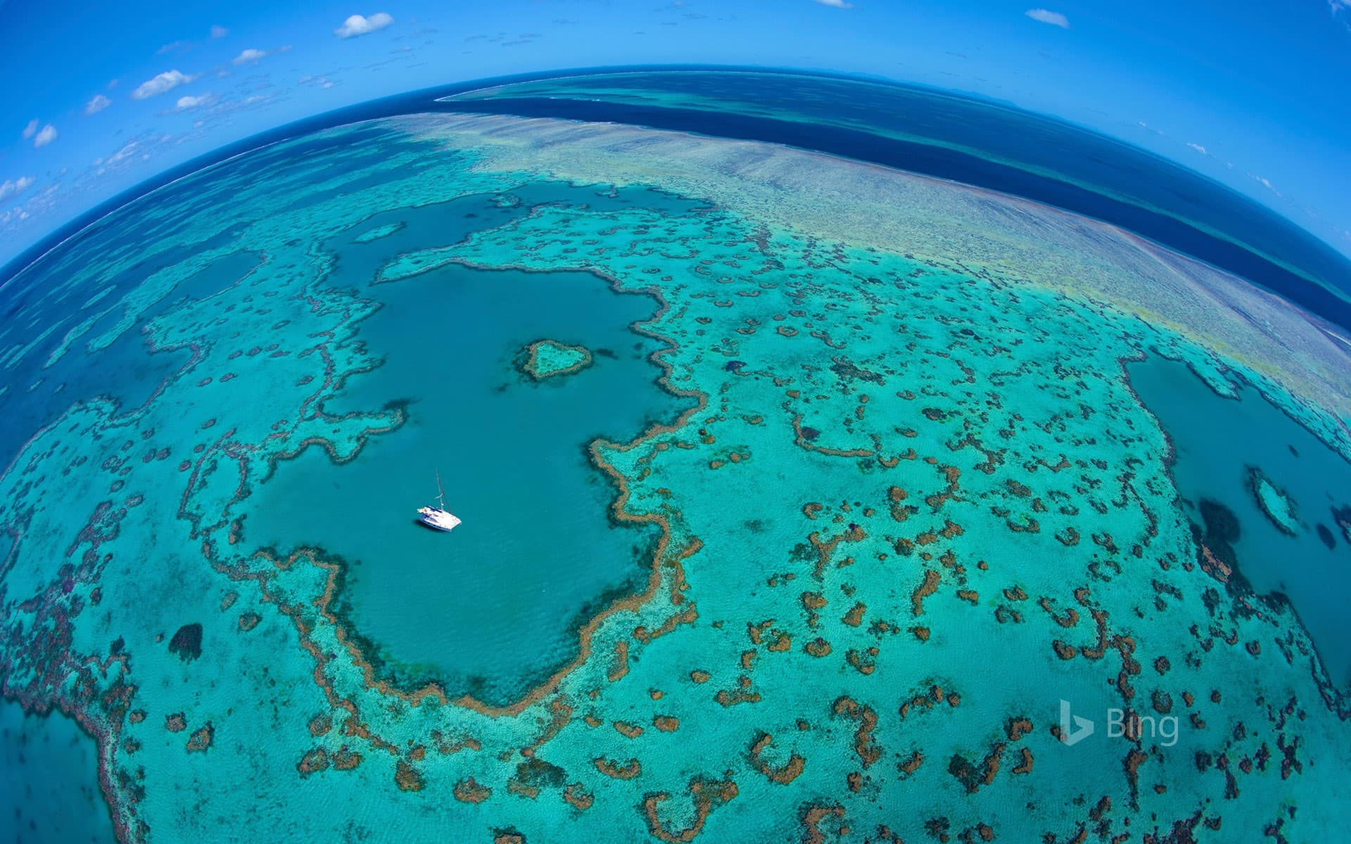 Bing Wallpaper: Great Barrier Reef, Queensland, Australia