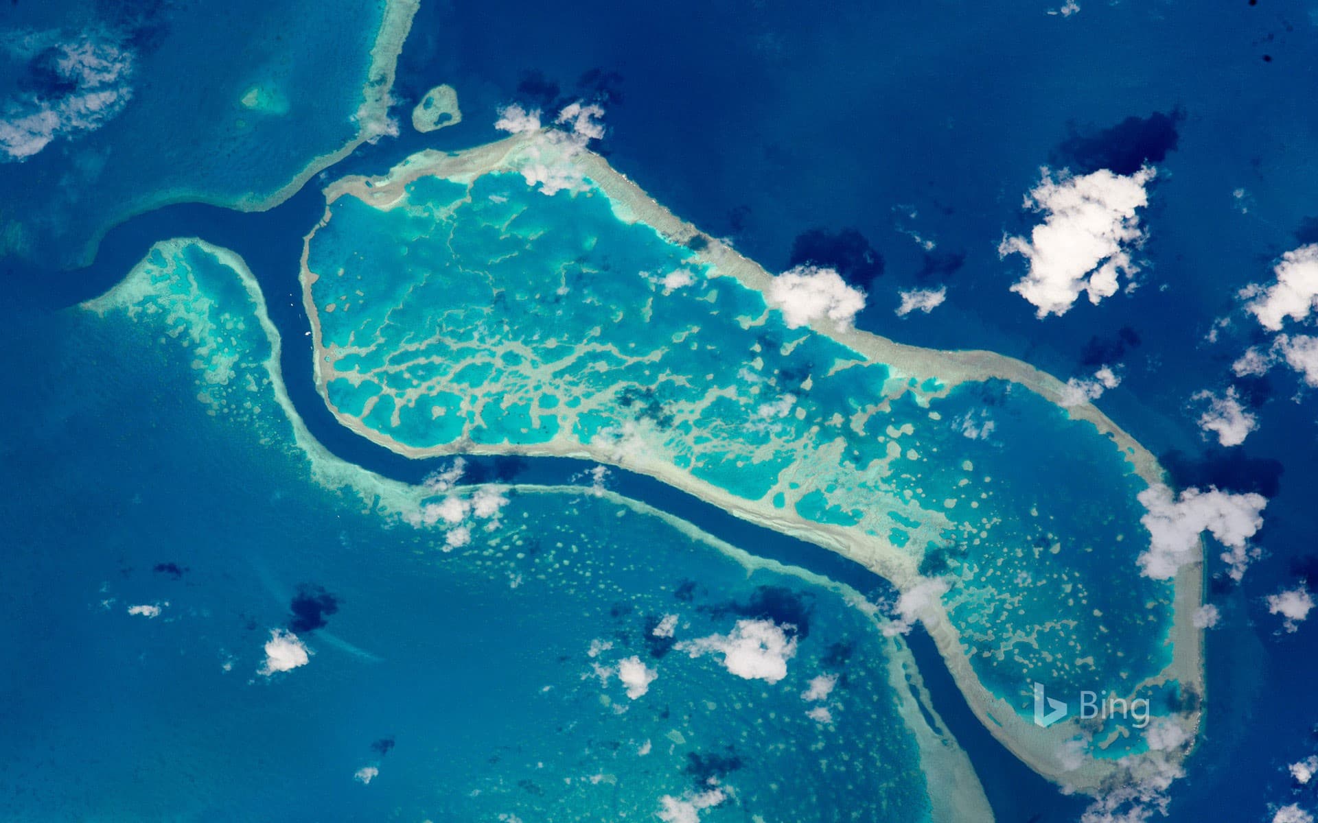 Bing Wallpaper: The Great Barrier Reef photographed from the International Space Station