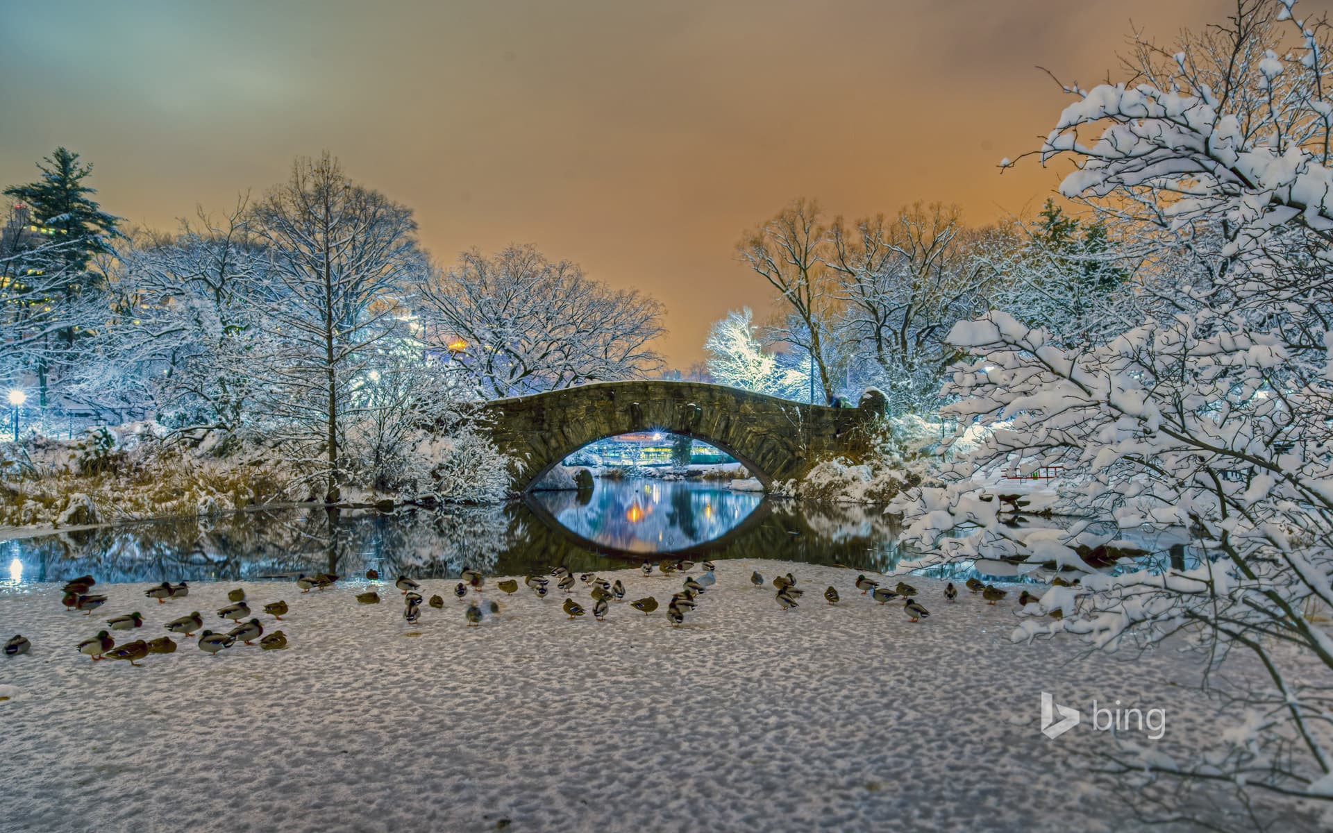 Bing Wallpaper: Gapstow Bridge in Central Park, New York City