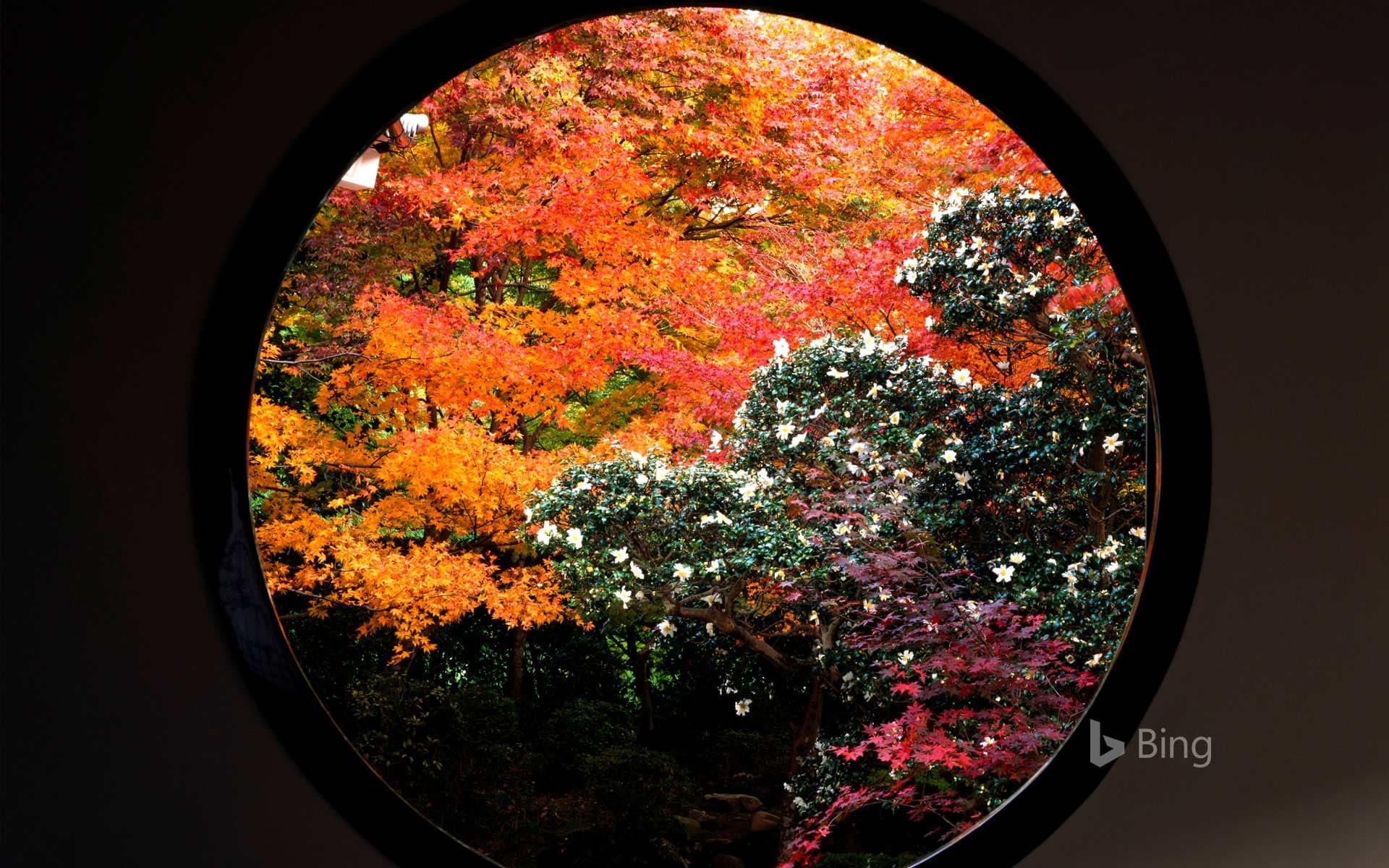 Bing Wallpaper: Circular window at Genko-an Temple, Kyoto, Japan