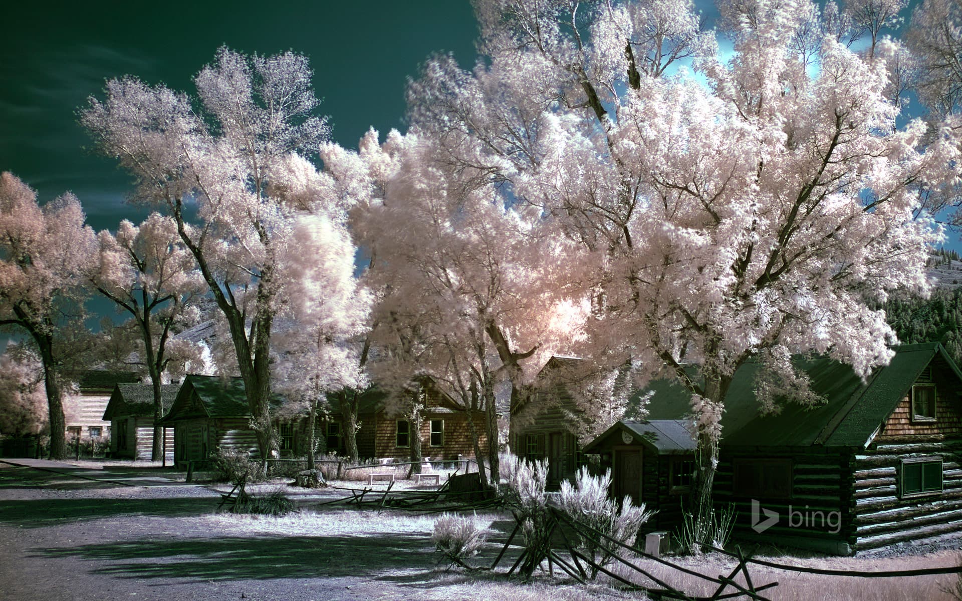 Bing Wallpaper: Bannack State Park in Montana
