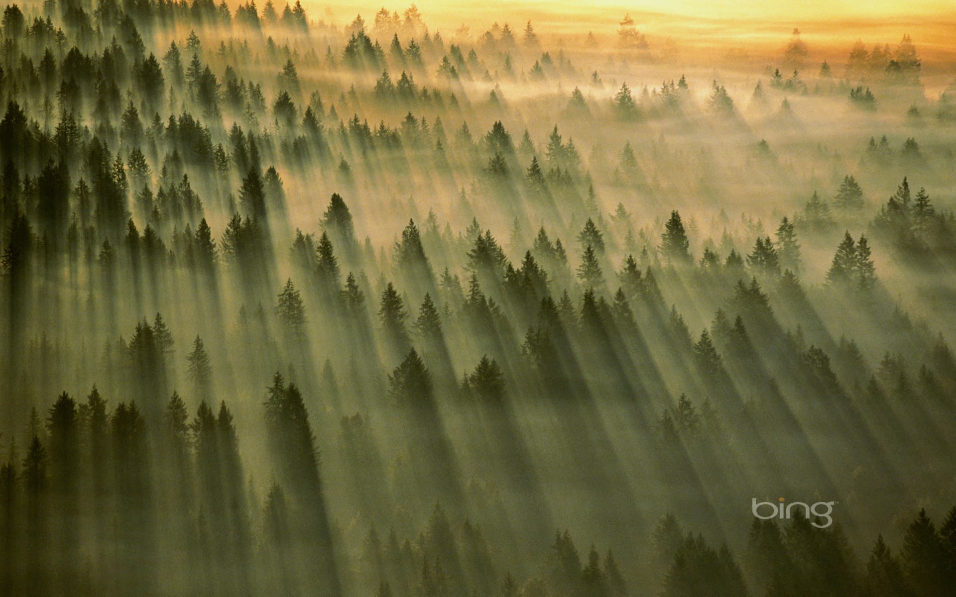 Bing Wallpaper: Gifford Pinchot National Forest, Washington