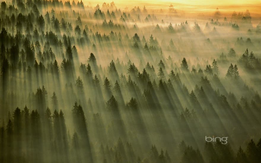 Gifford Pinchot National Forest, Washington