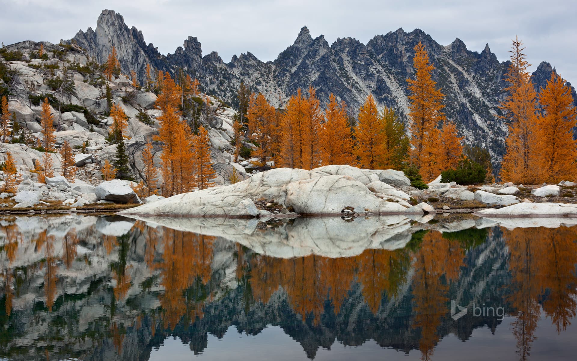 Bing Wallpaper: Golden larches and Prusik Peak reflected in Troll Sink Tarn, Upper Enchantments, Alpine Lakes Wilderness, Washington