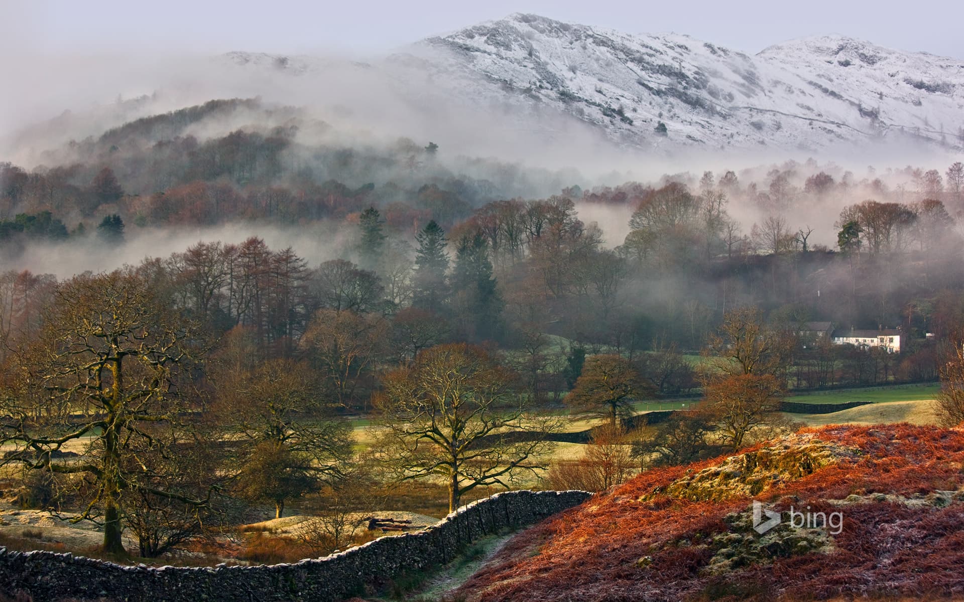 Bing Wallpaper: Great Langdale Valley in Lake District National Park, Cumbria, England