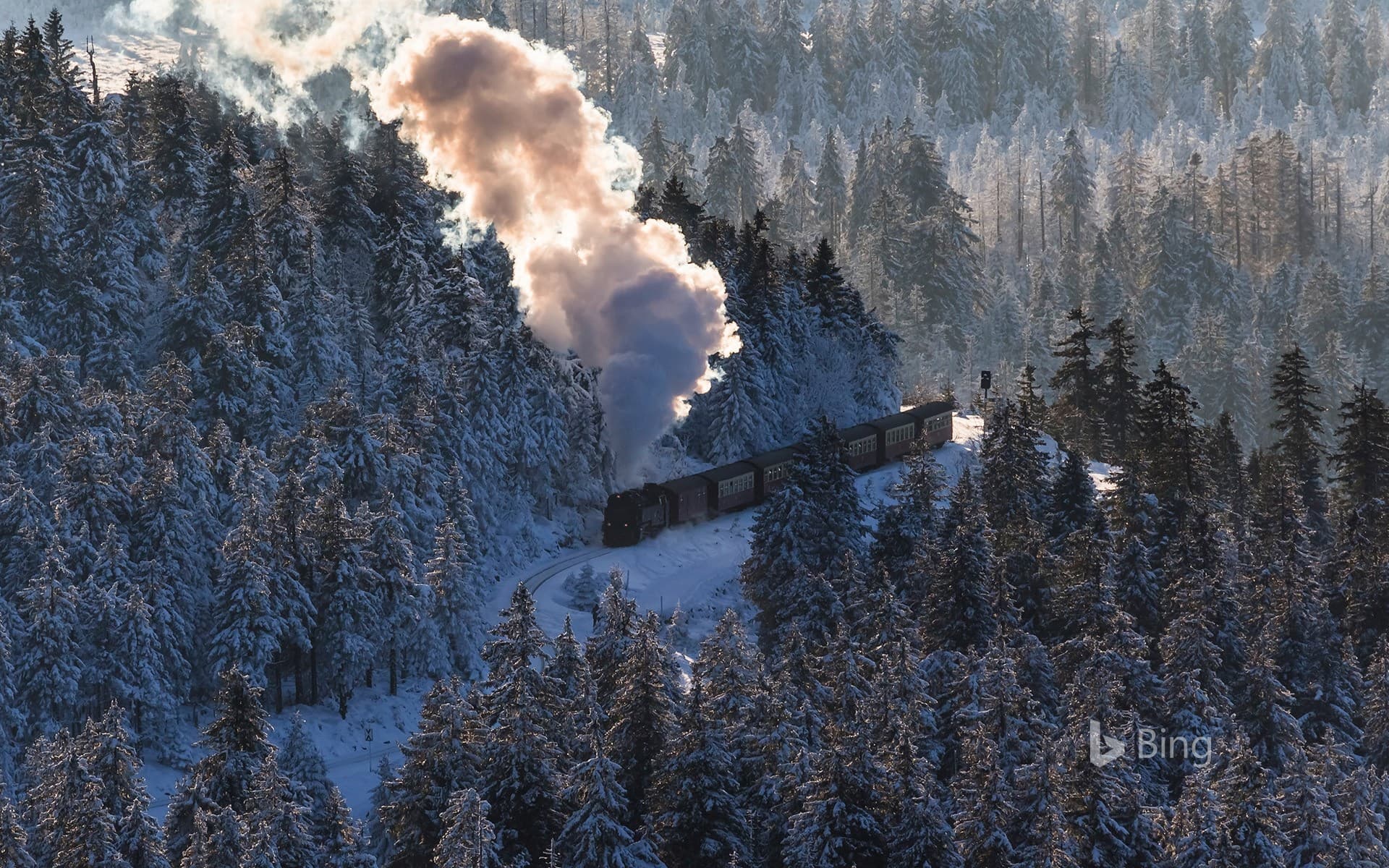 Bing Wallpaper: Harz Narrow Gauge Railway, Brocken, Harz National Park, Saxony-Anhalt, Germany