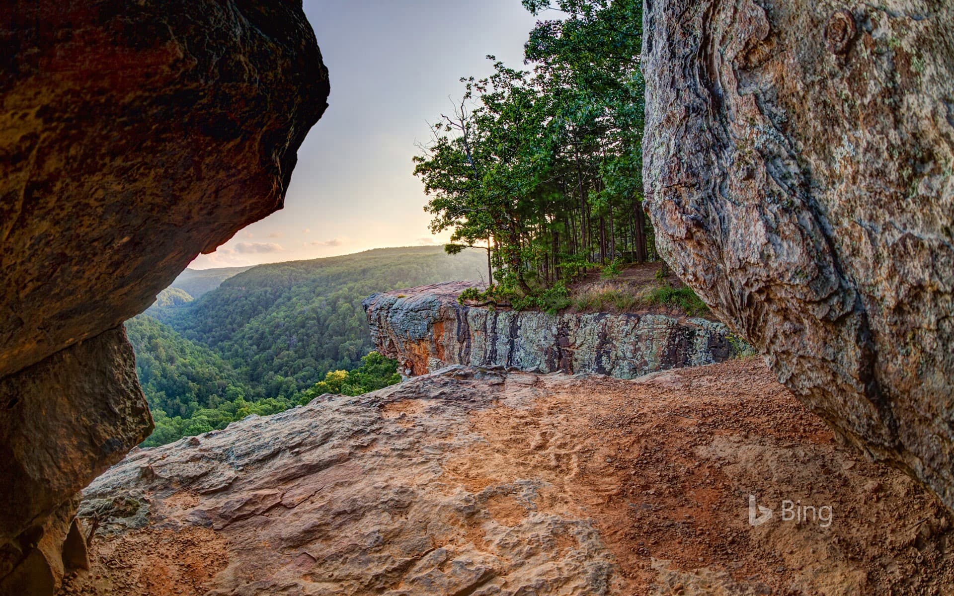 Bing Wallpaper: Lookout east of Whitaker Point Trail (Hawksbill Crag) in the Upper Buffalo Wilderness Area, Ozark National Forest, Arkansas