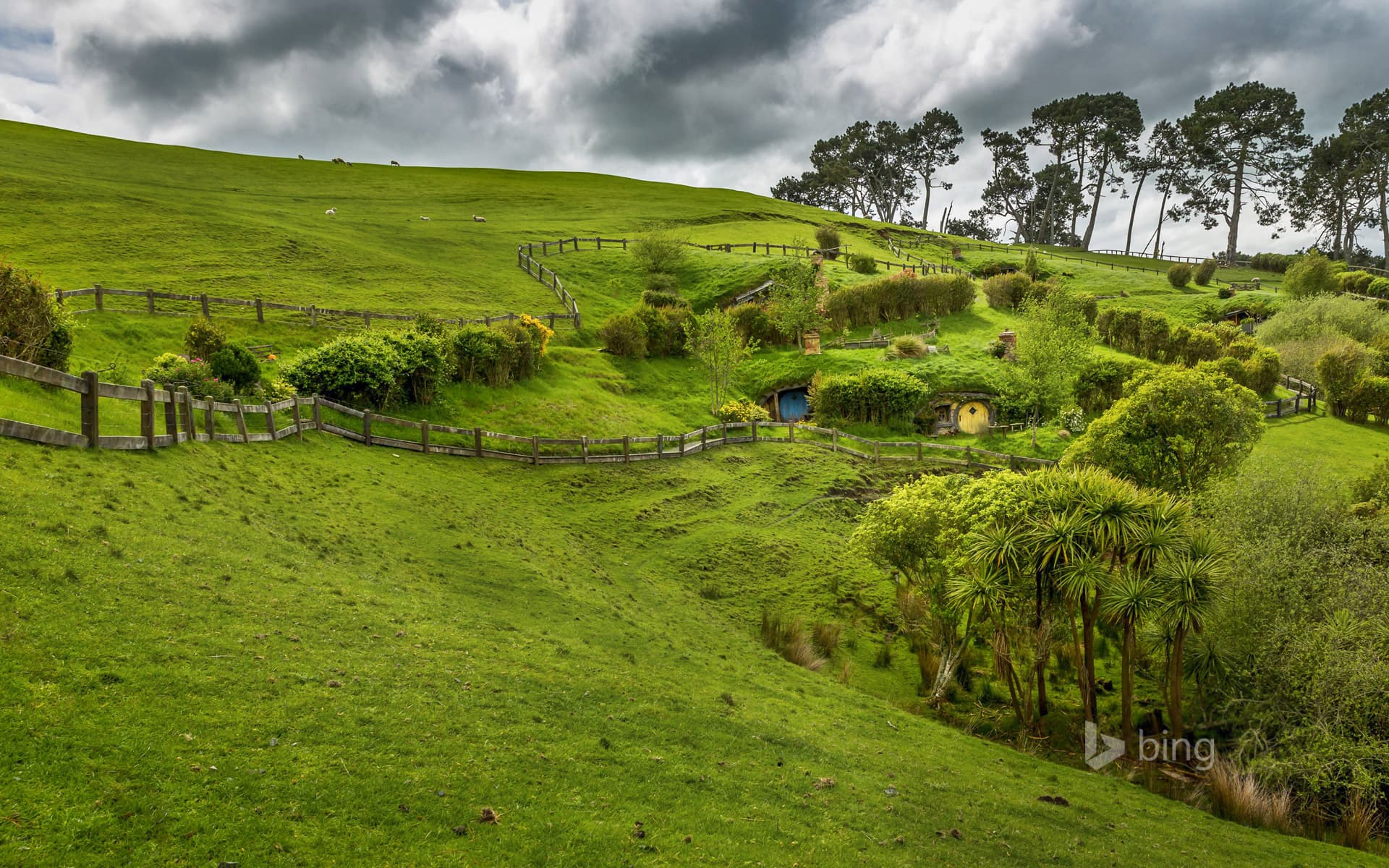Bing Wallpaper: Hobbiton, near Matamata, North Island, New Zealand