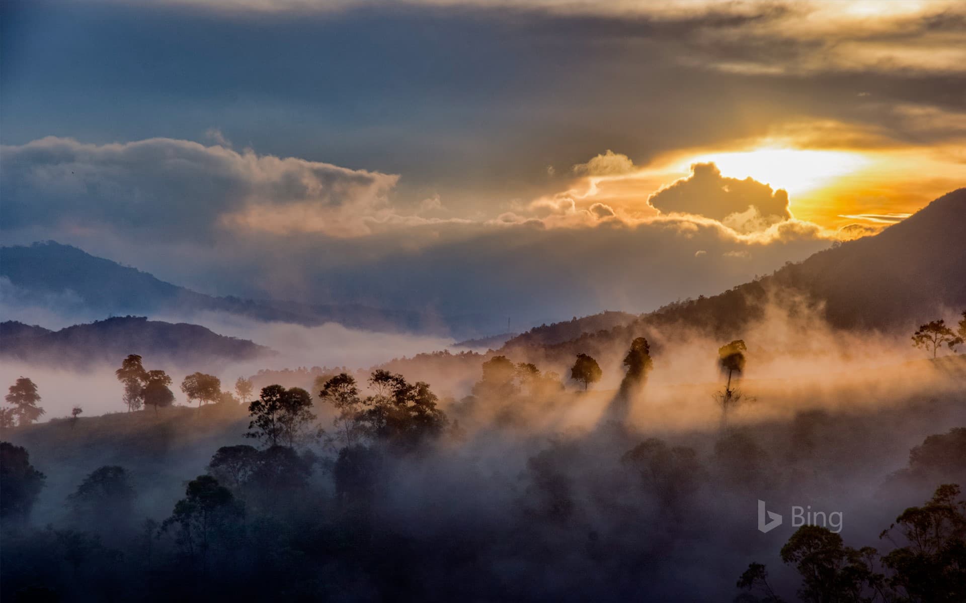 Bing Wallpaper: Mist over the forests of Idukki, Western Ghats, Kerala, India