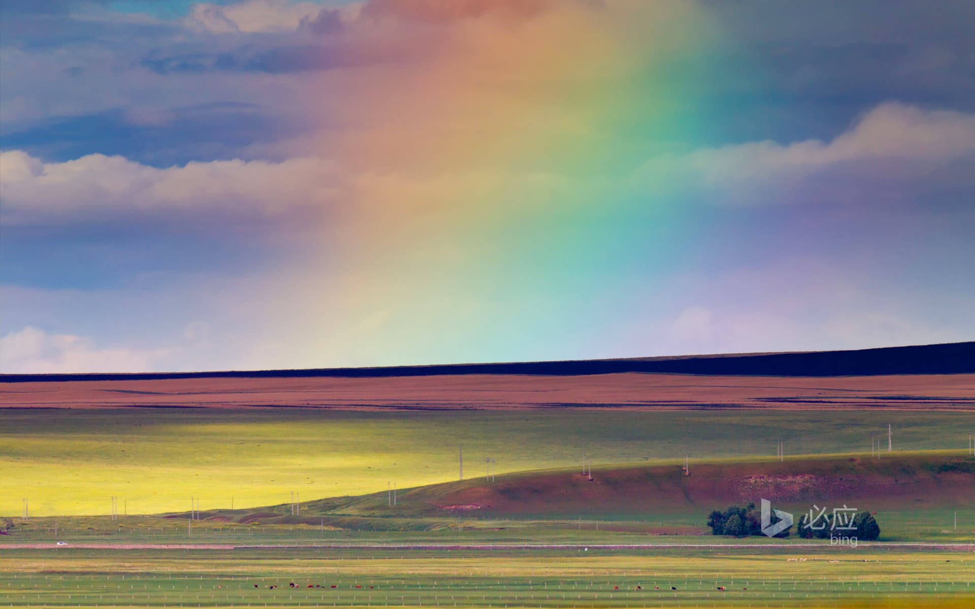 Bing Wallpaper: China, Inner Mongolia Grassland