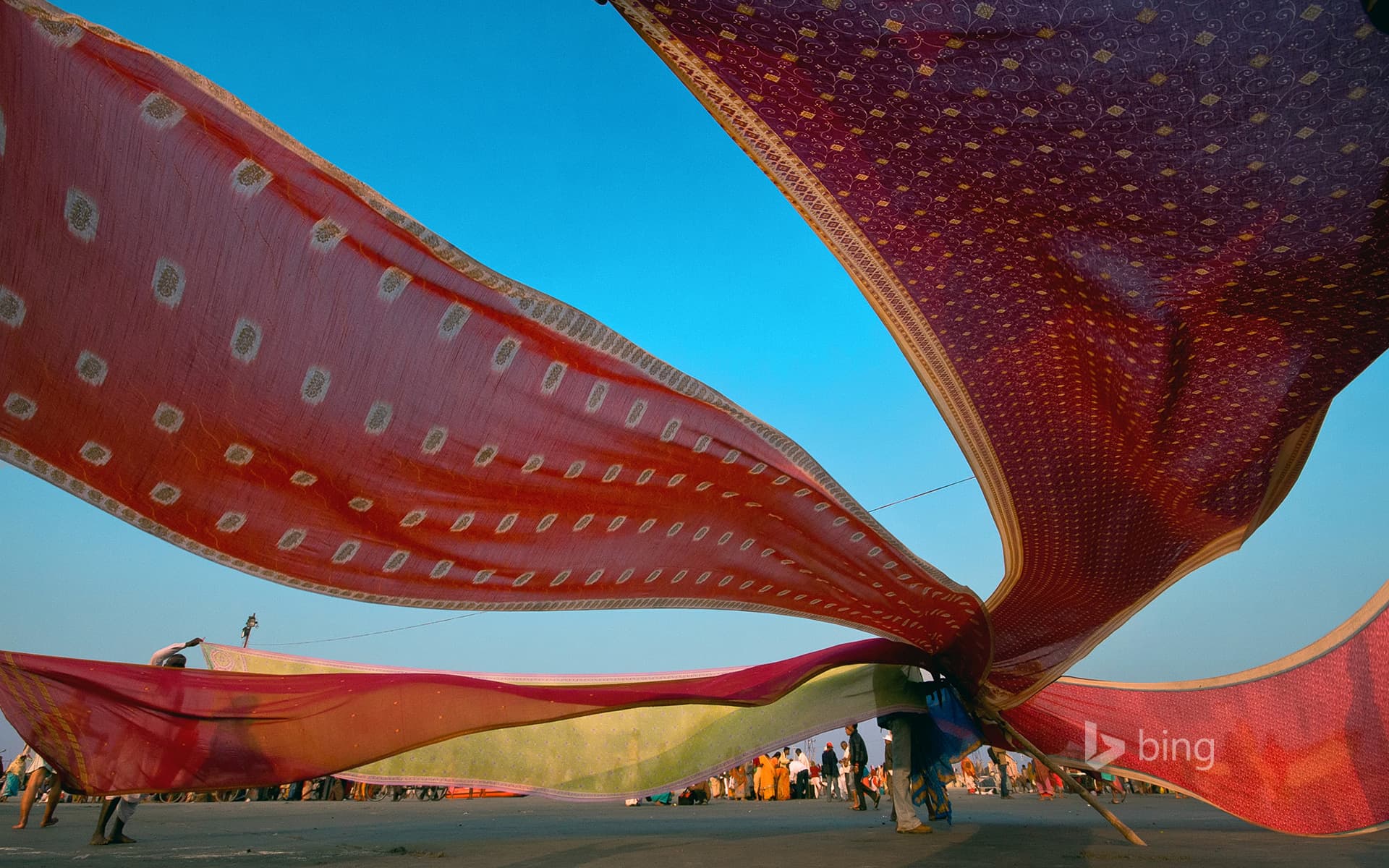 Bing Wallpaper: Drying saris on banks of the Ganga River, India