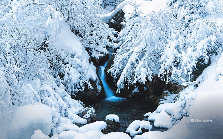 Val Brandet, Corteno Golgi, Brescia, Lombardy, Italy