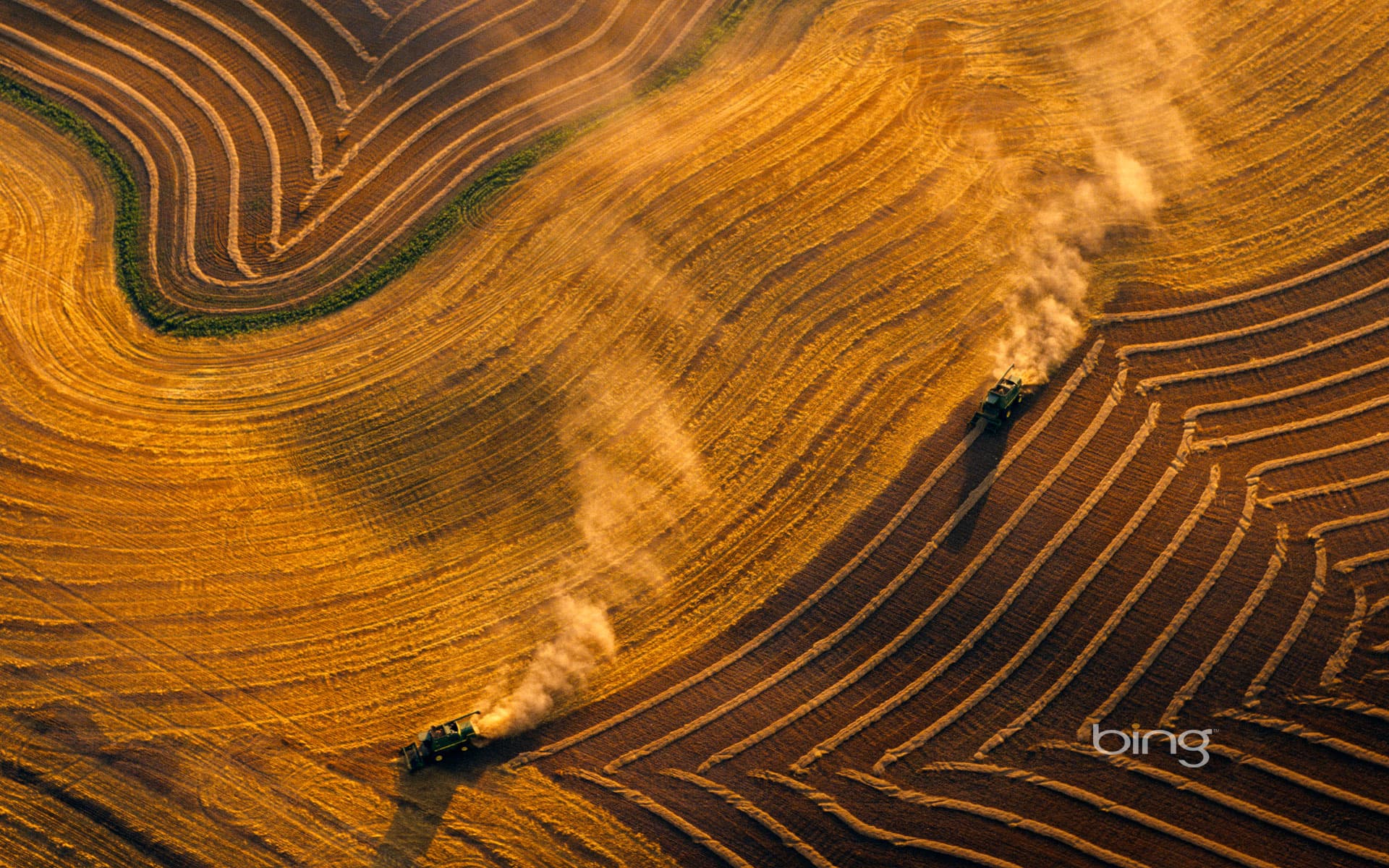 Bing Wallpaper: Combine harvesting wheat near  Jamestown, North Dakota
