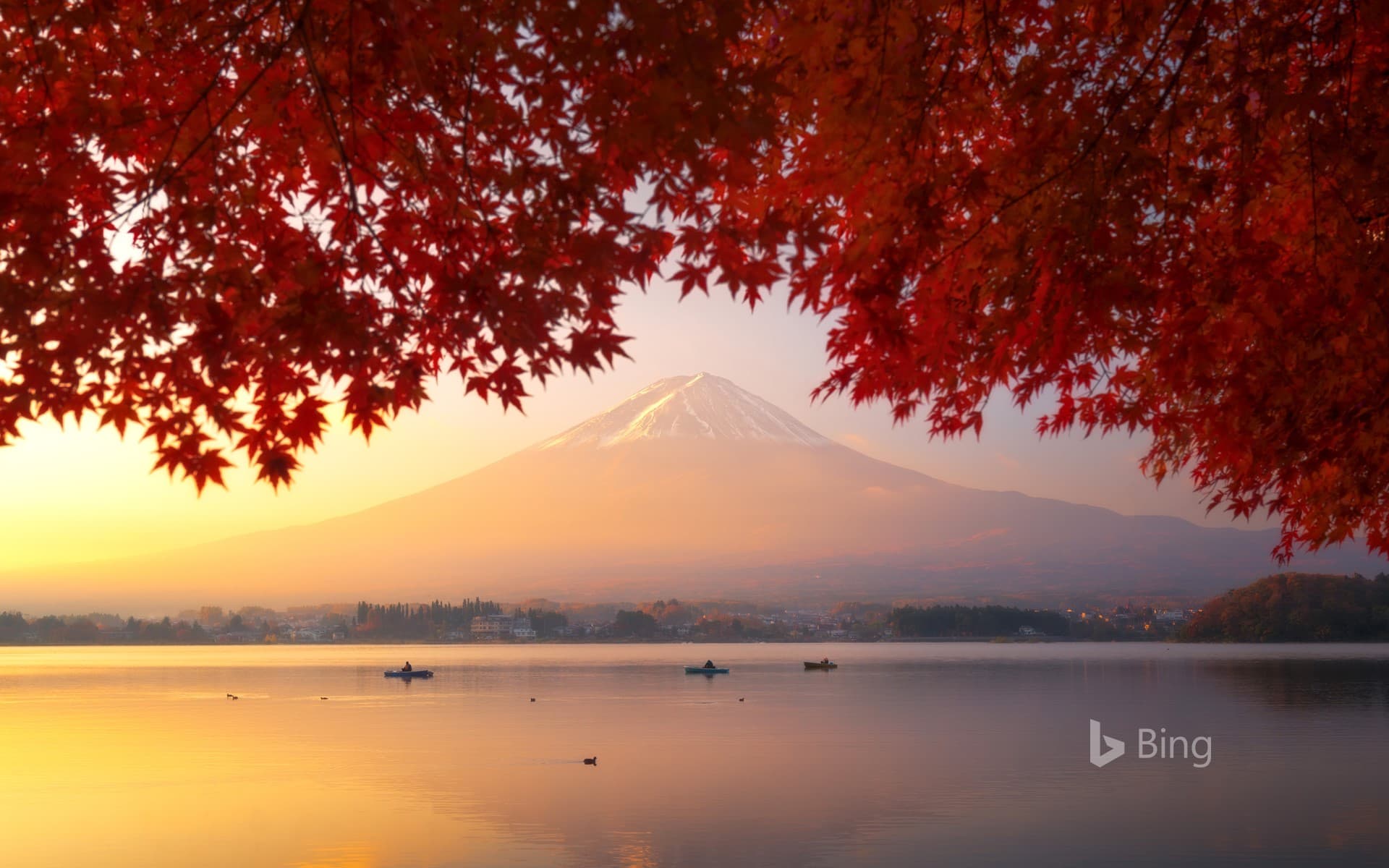 Bing Wallpaper: "Mt Fuji seen from Lake Kawaguchi" Yamanashi