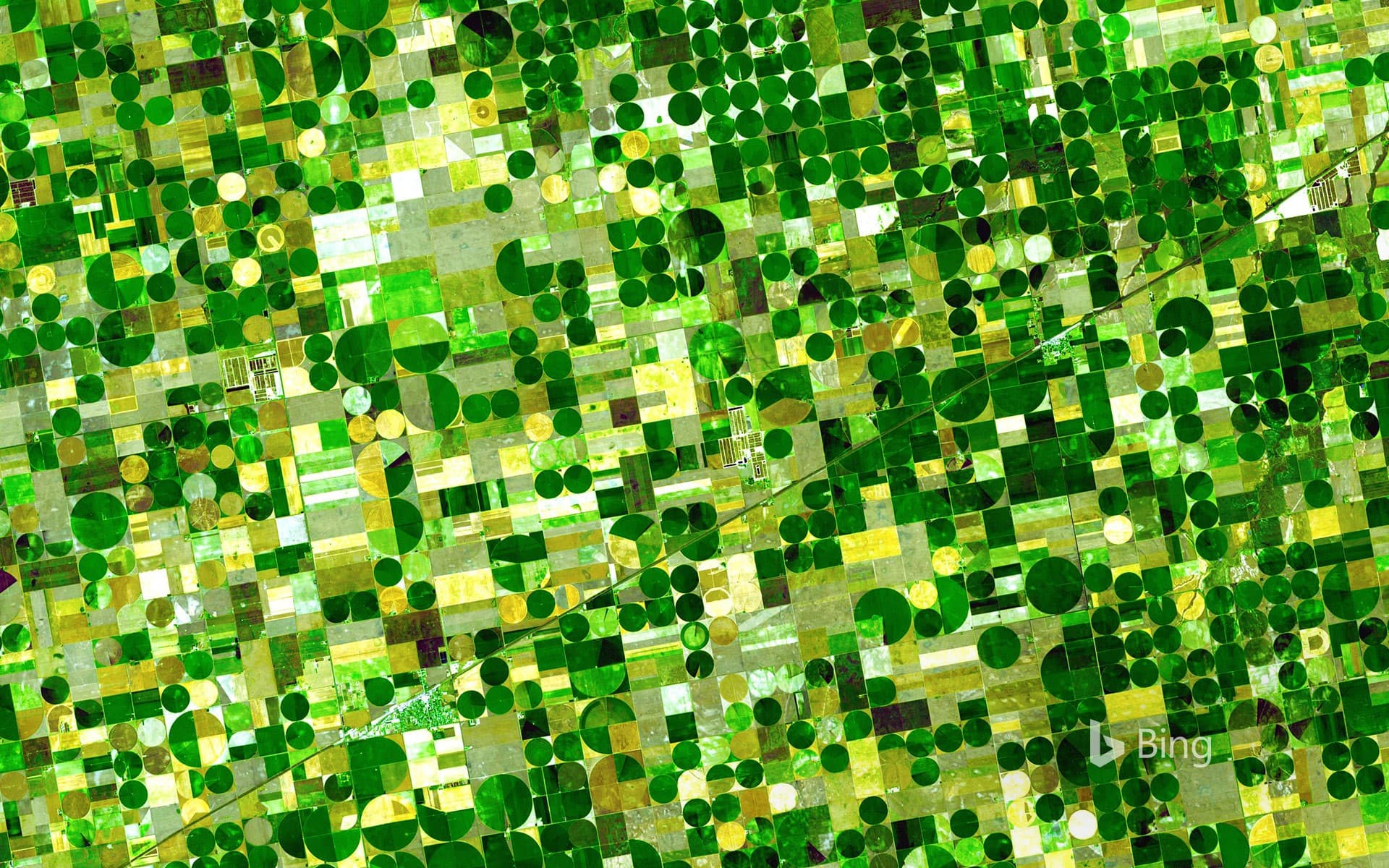 Bing Wallpaper: Farm plots in southwestern Kansas