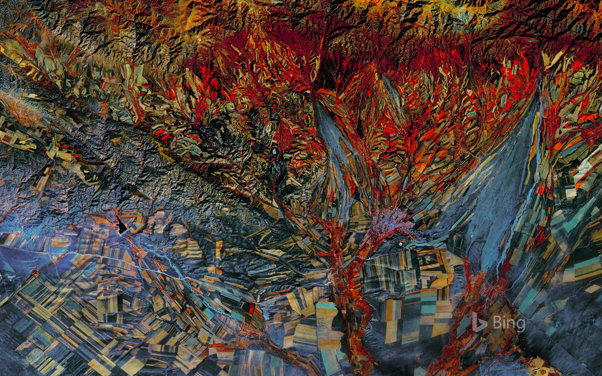 Bing Wallpaper: Landsat 8 satellite’s infrared photo of fields in Kazakhstan