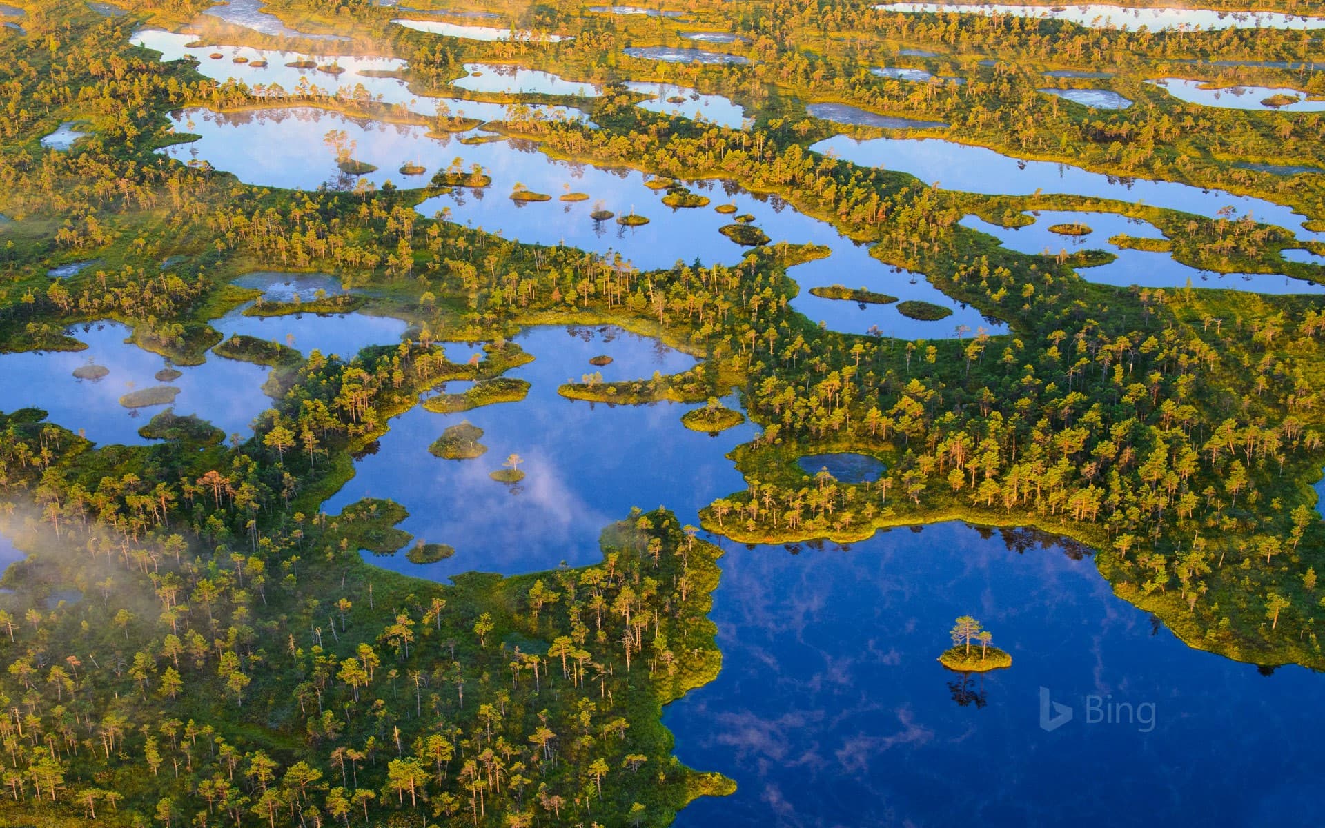 Bing Wallpaper: Ķemeri National Park, Latvia
