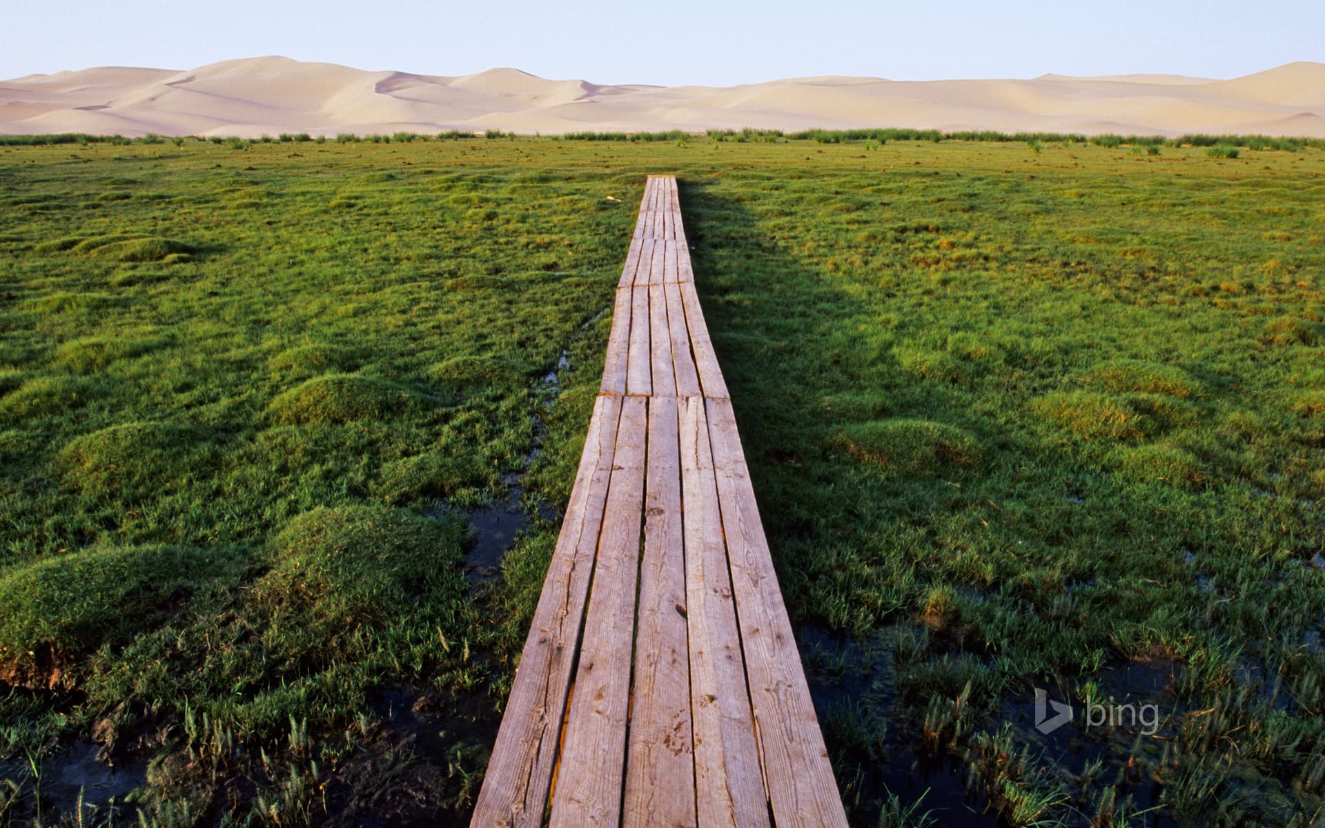 Bing Wallpaper: Bridge over marshland near the Khongoryn Els sand dunes in the Gobi Desert, Mongolia