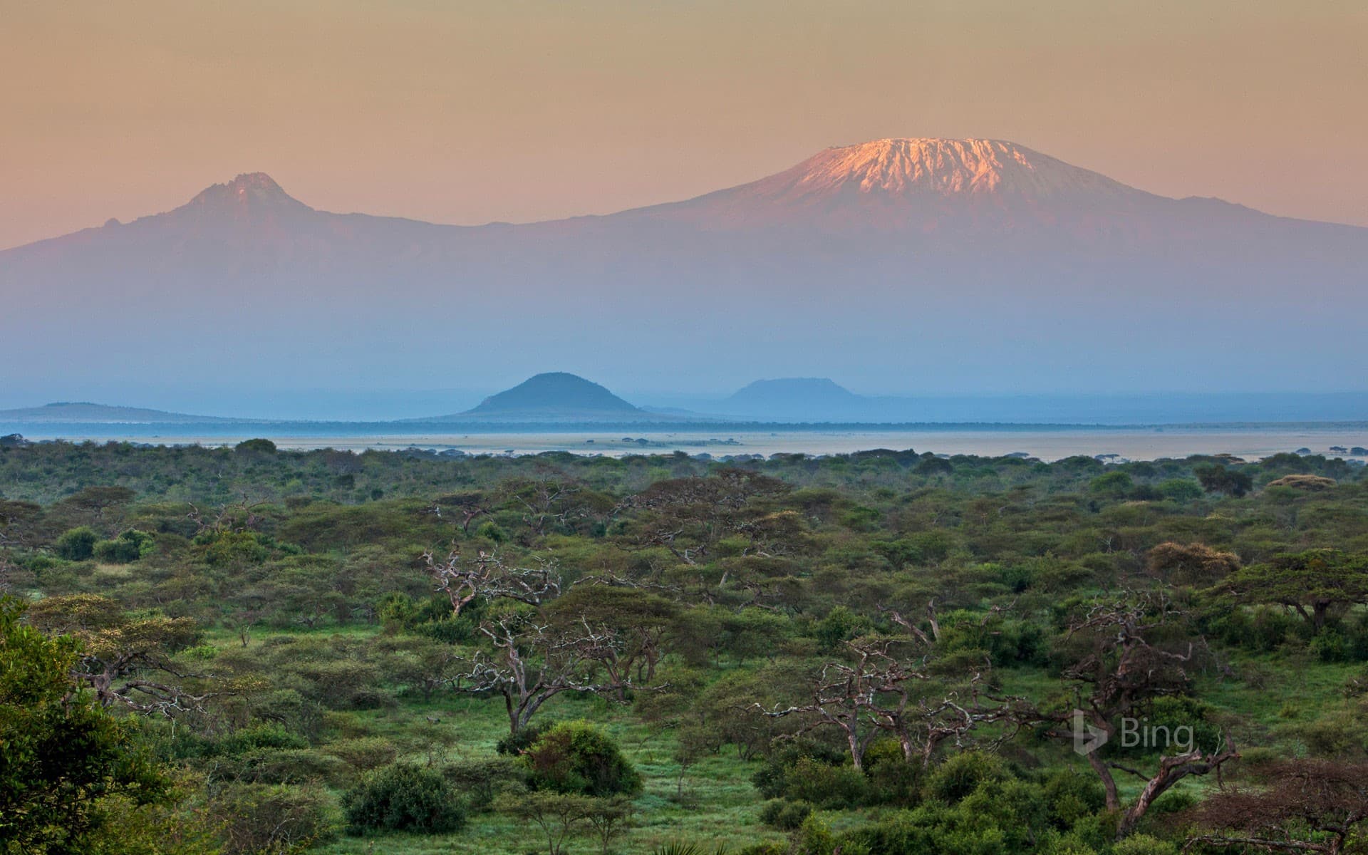 Bing Wallpaper: Mount Kilimanjaro seen from Chyulu Hills National Park in Kenya