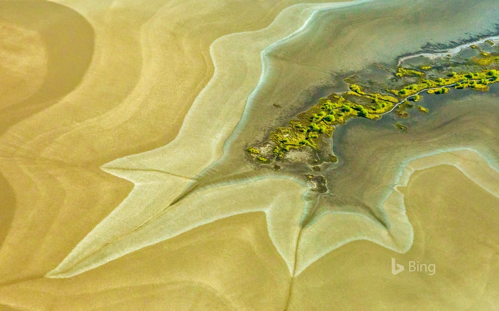 Bing Wallpaper: King River tidal flats near Wyndham, Australia