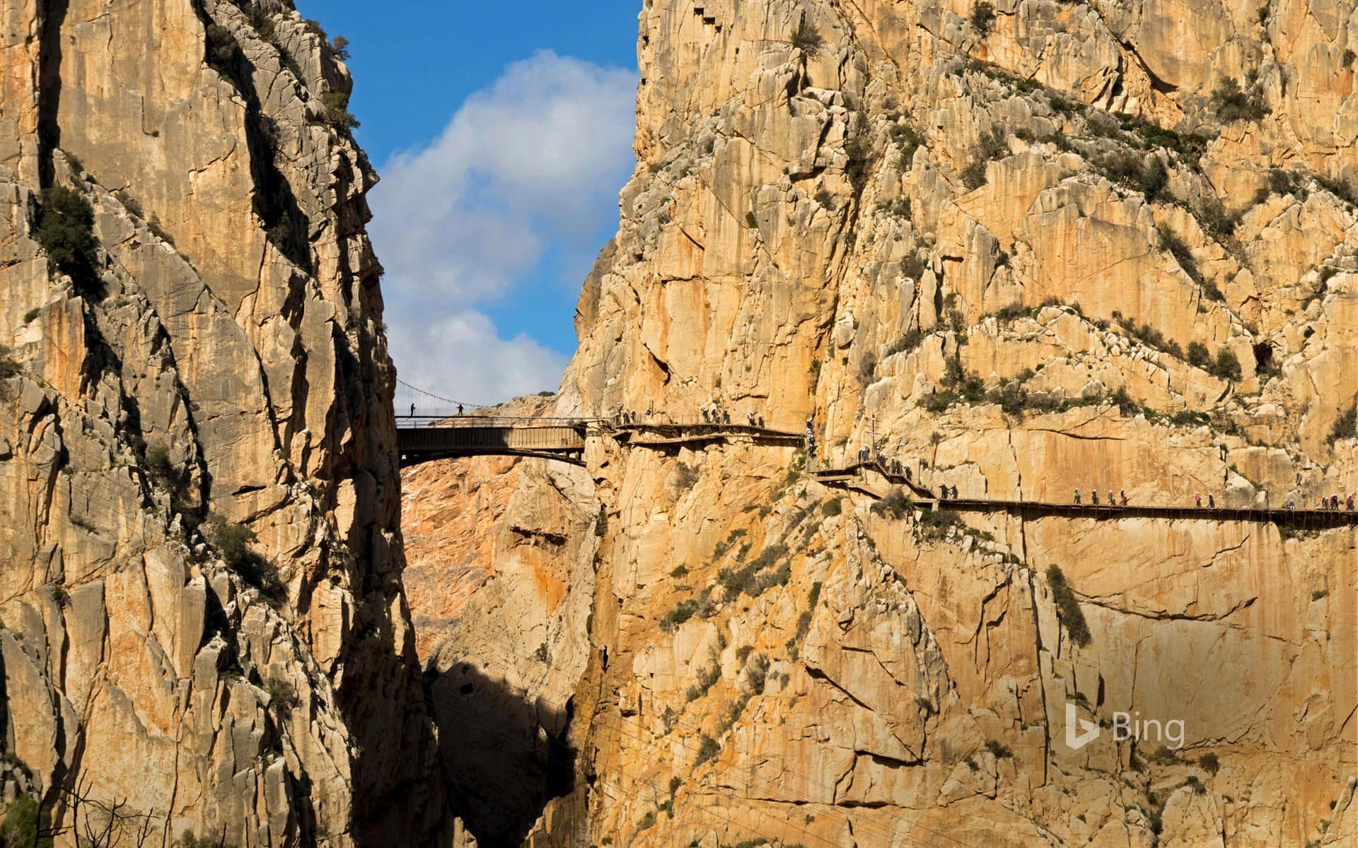 Bing Wallpaper: Visitors on El Caminito del Rey in the province of Málaga, Spain
