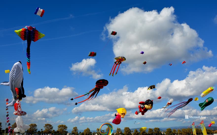 Kites in the sky of Fréjus, Var, Provence-Alpes-Côte d’Azur