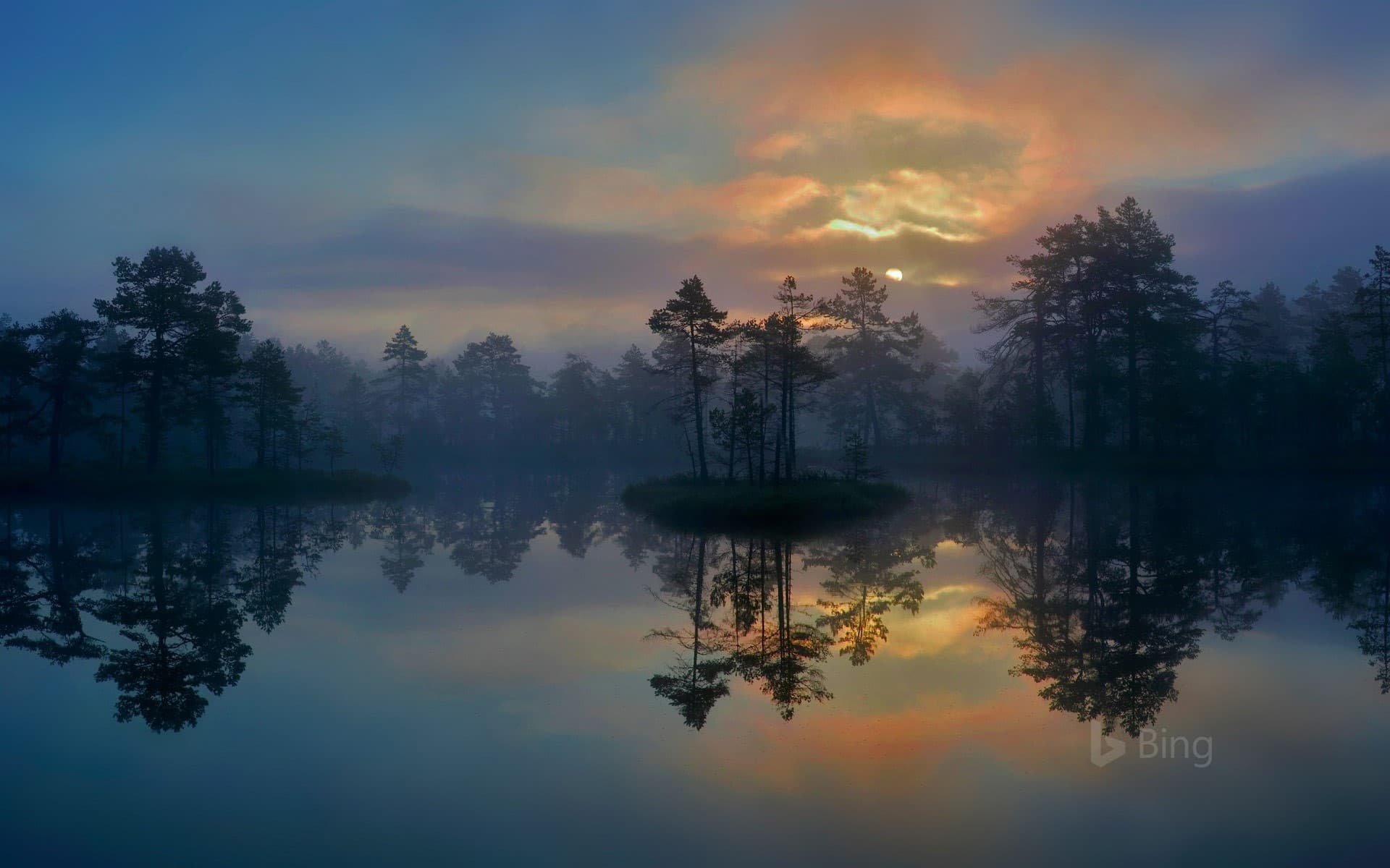 Bing Wallpaper: A wetland in Västmanland, Sweden
