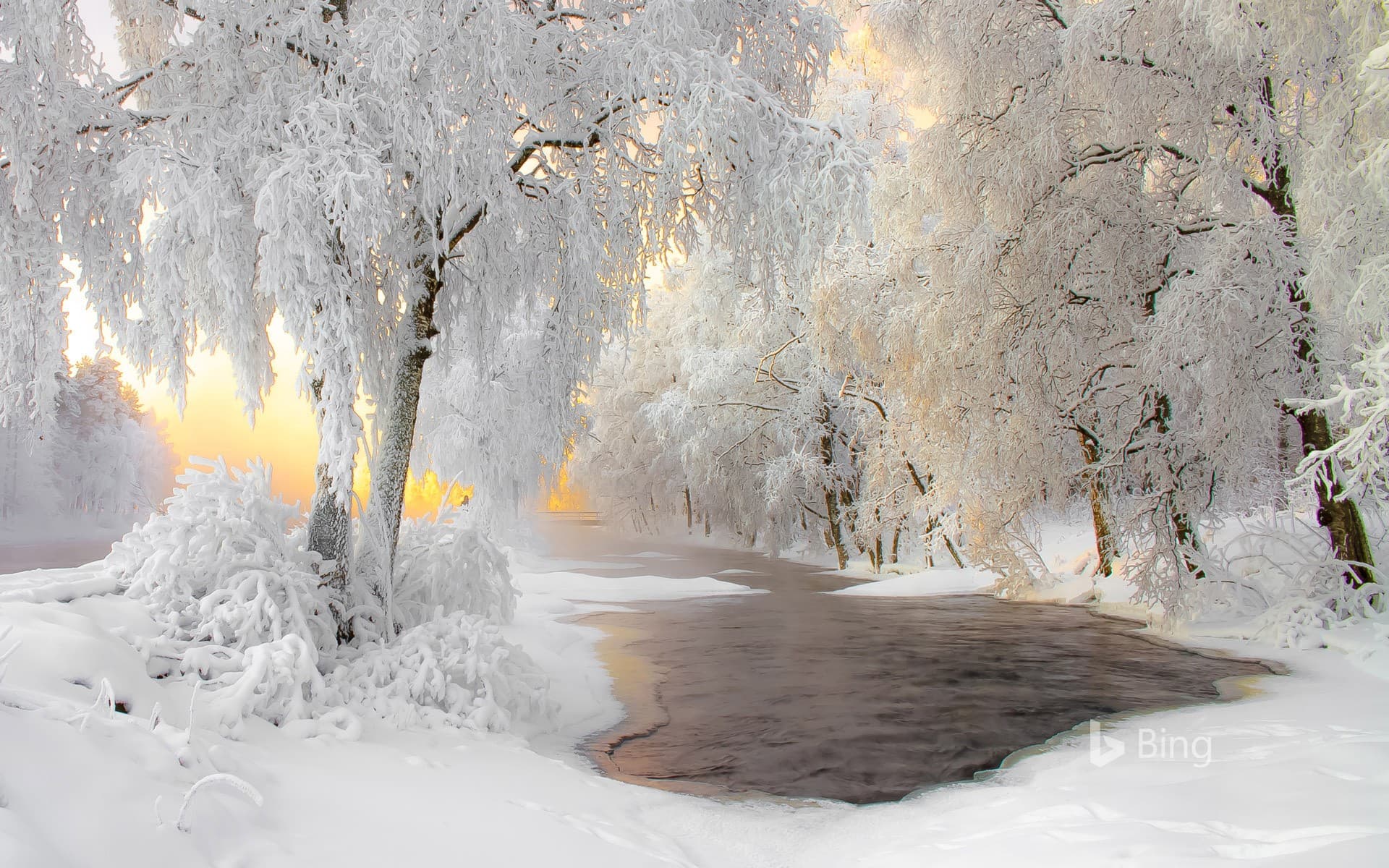 Bing Wallpaper: Winter scenery near Kuhmo, Finland
