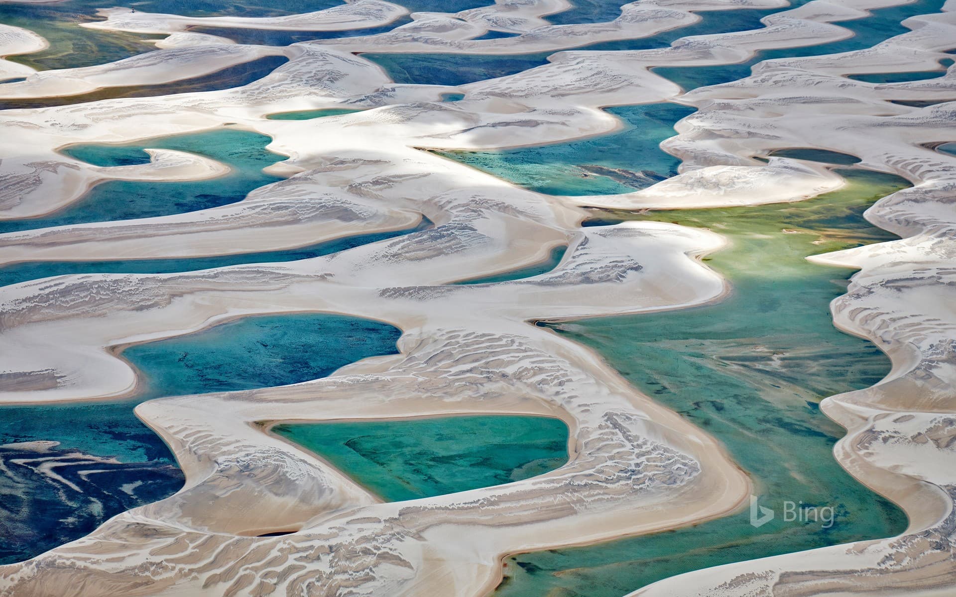 Bing Wallpaper: Lençóis Maranhenses National Park in Barreirinhas, Brazil