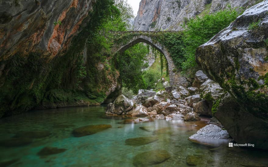 Jaya Bridge, Cares River, Picos de Europa, Asturias, Spain