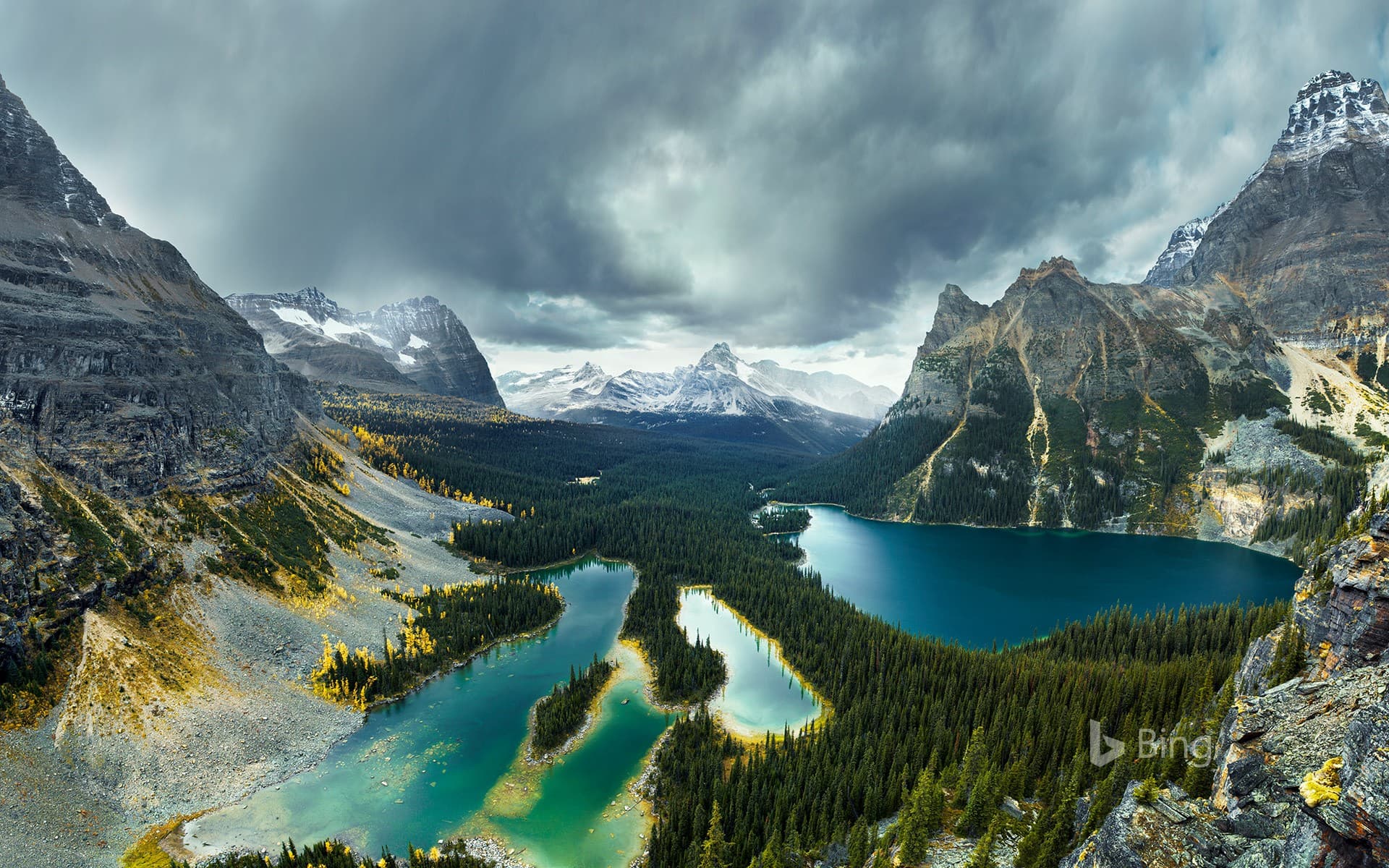 Bing Wallpaper: Lake O’Hara in Yoho National Park, British Columbia, Canada