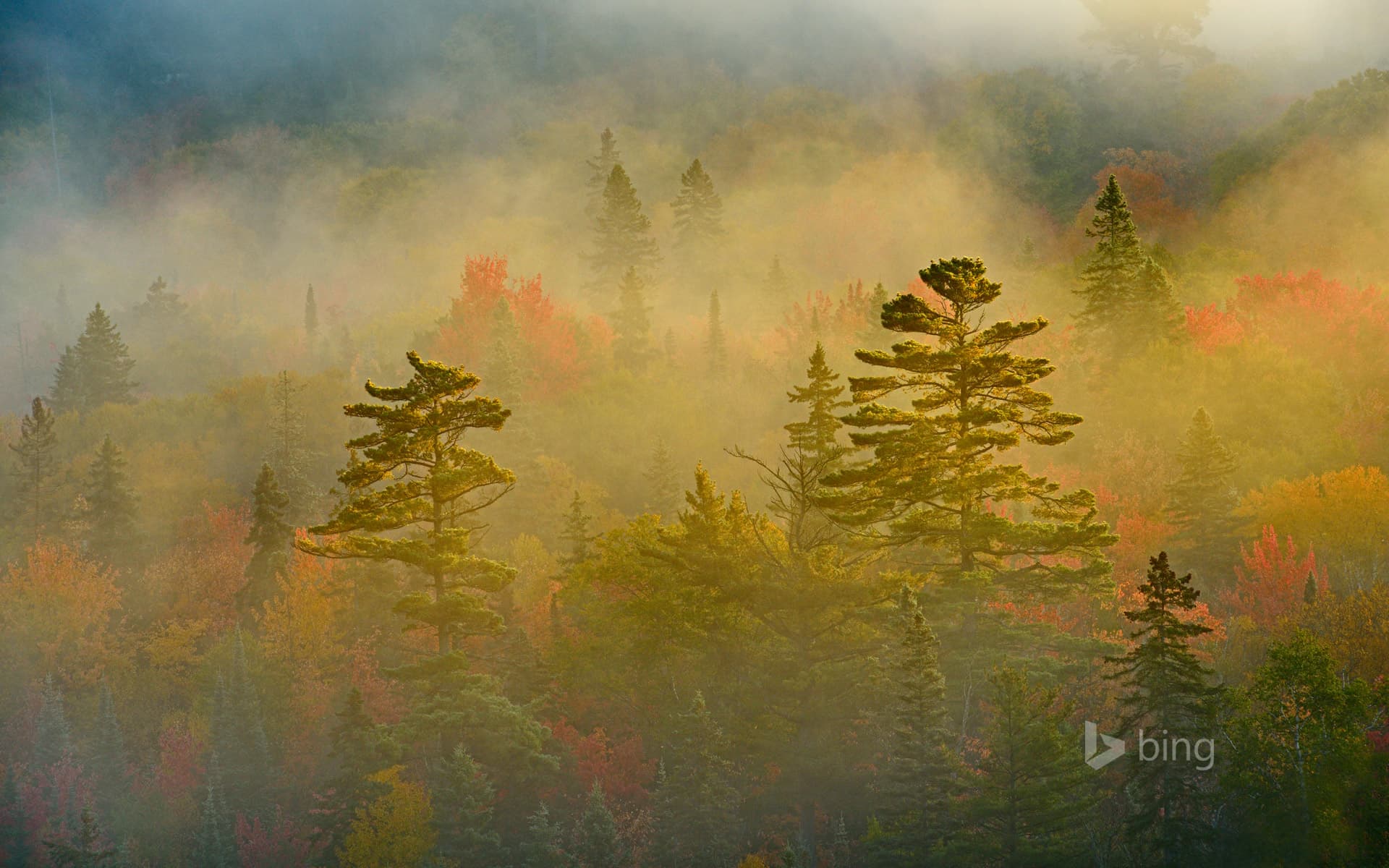 Bing Wallpaper: Lake Superior Provincial Park, Ontario, Canada