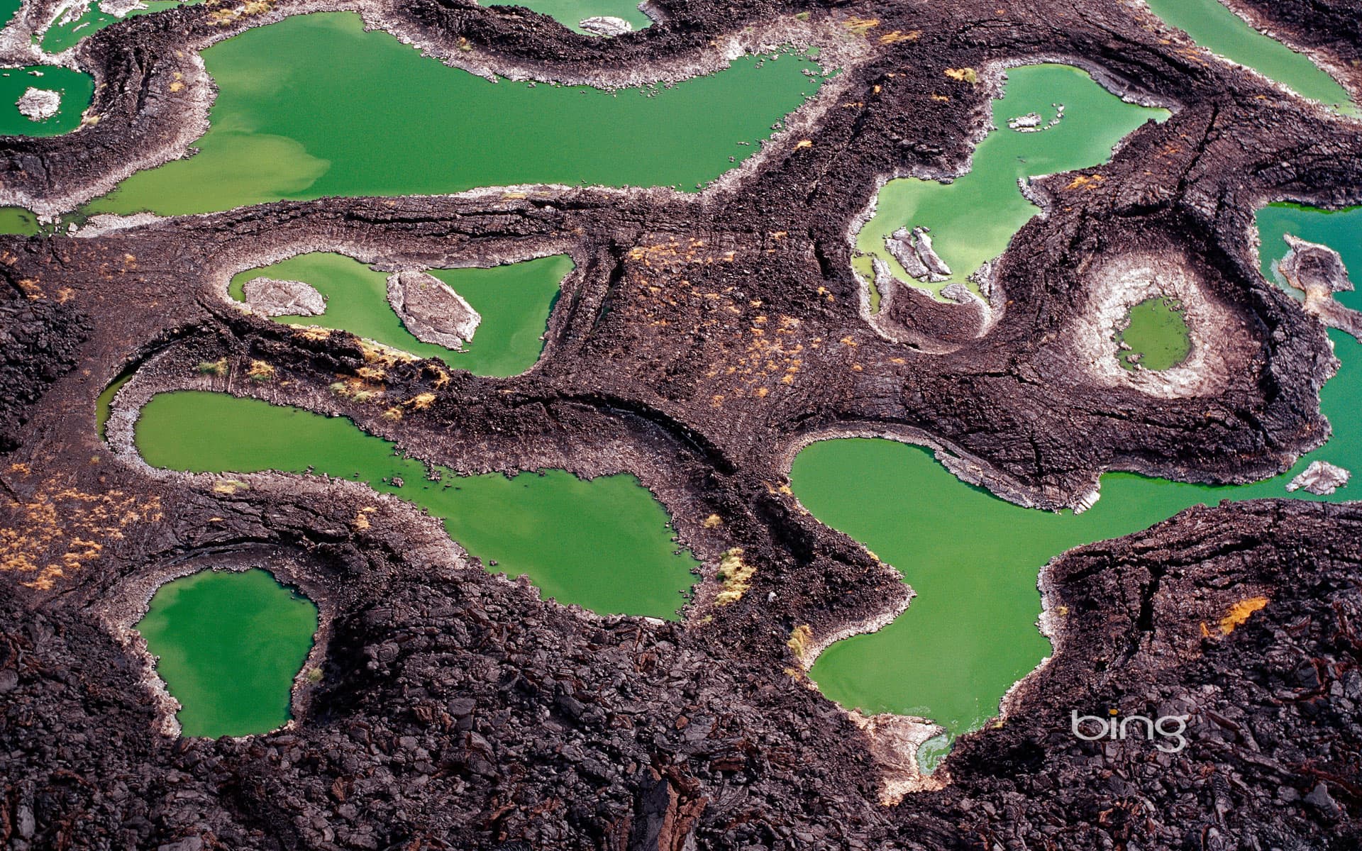 Bing Wallpaper: Lava rock pools at the southern end of Lake Turkana, in Kenya